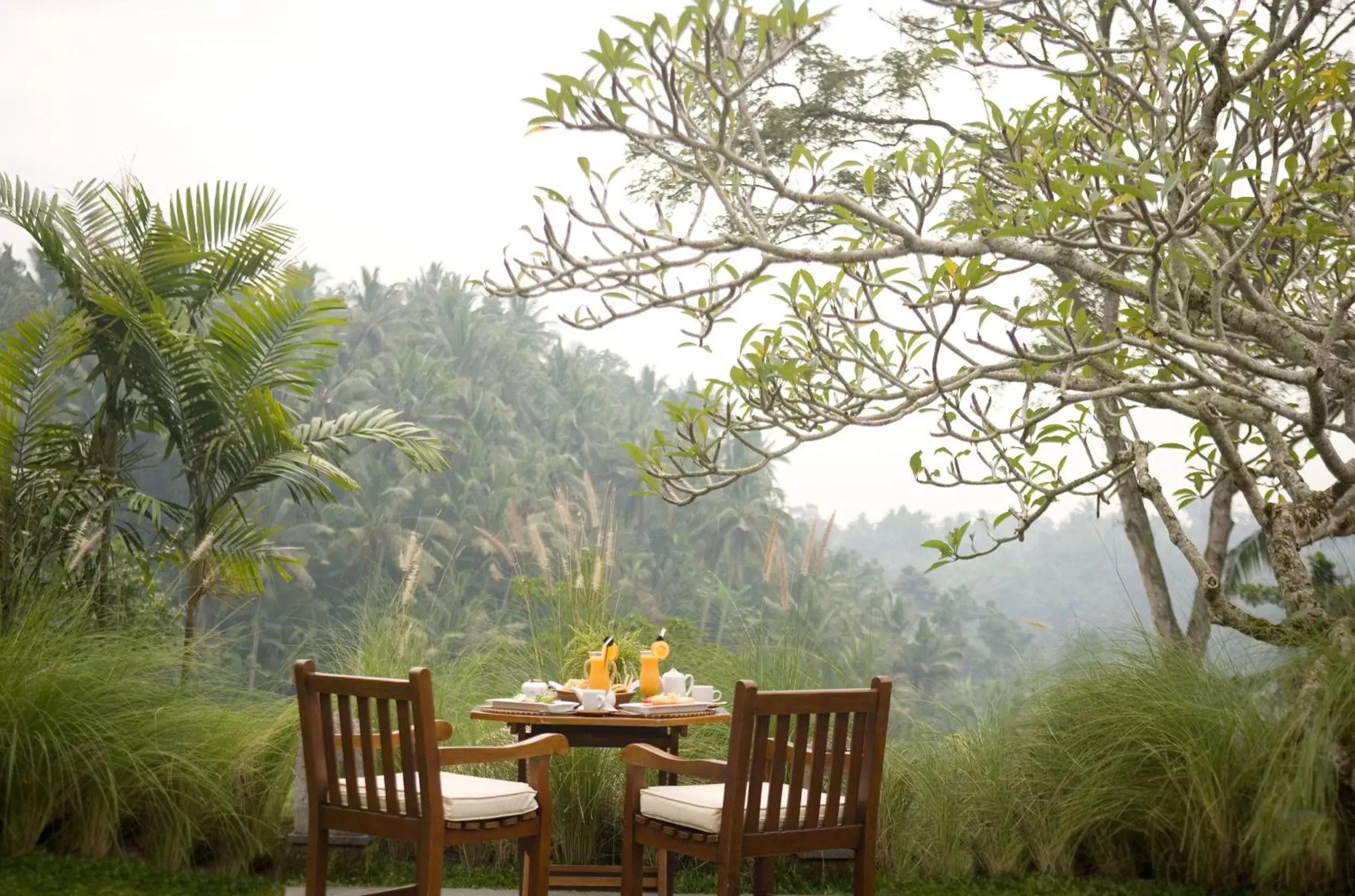 View (from property/room) in Kamandalu Ubud - CHSE Certified