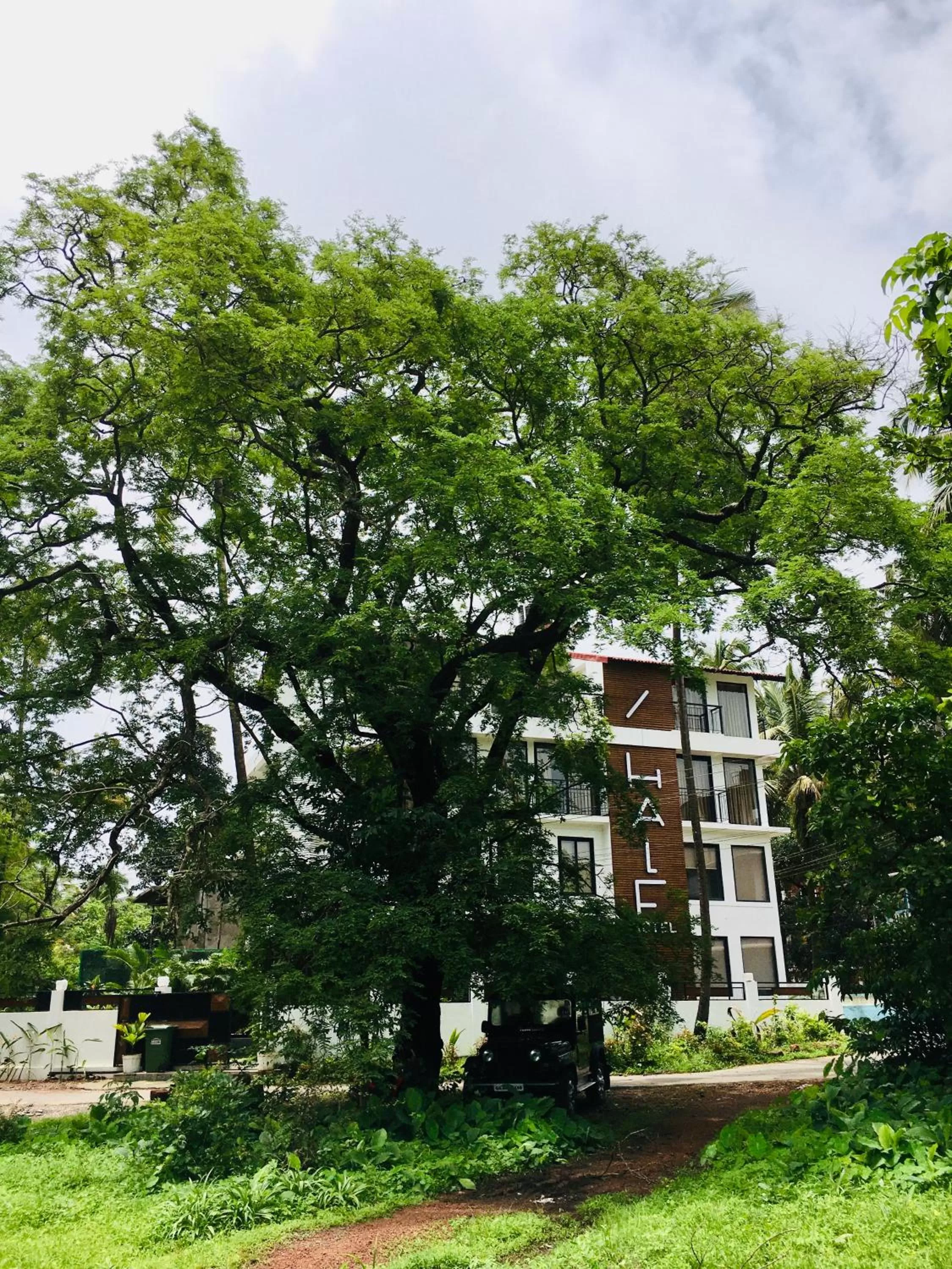 Property Building in HALF Hotel, Calangute