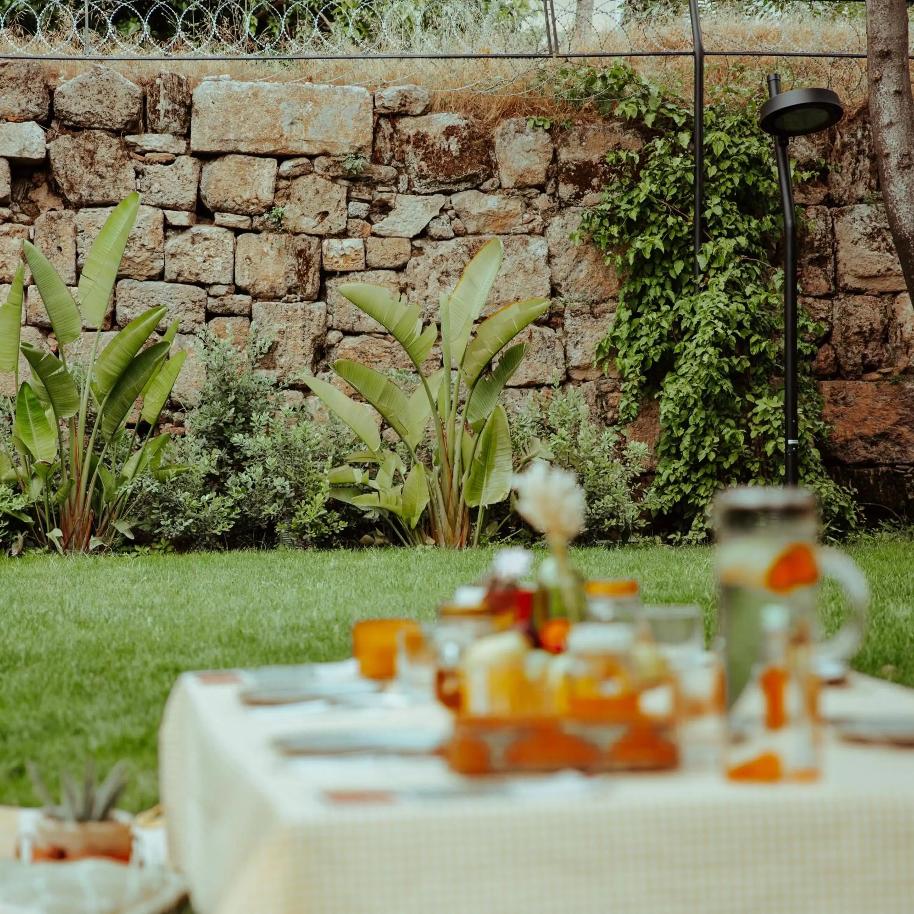 Garden in Casa Sur Antalya