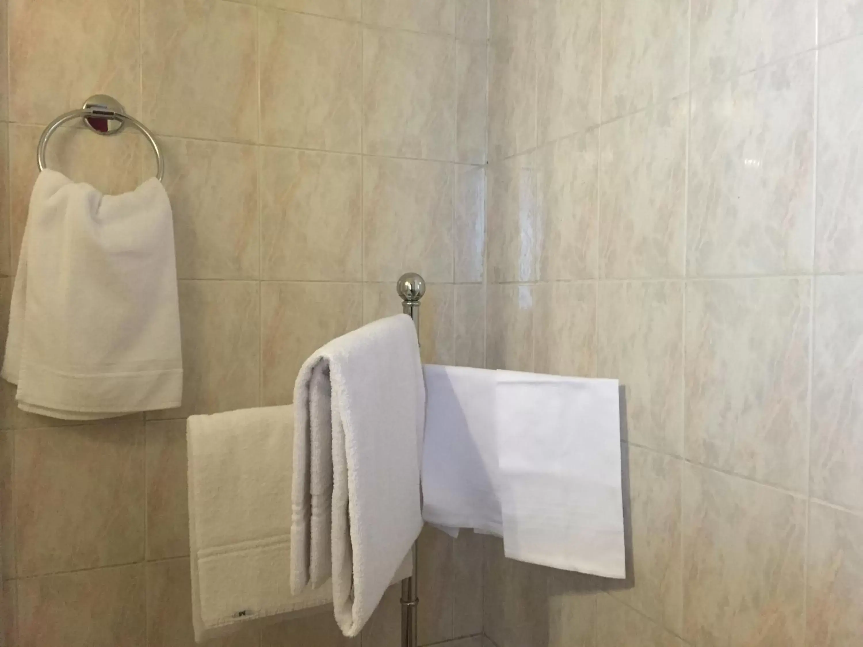 Shower, Bathroom in Hotel Aline