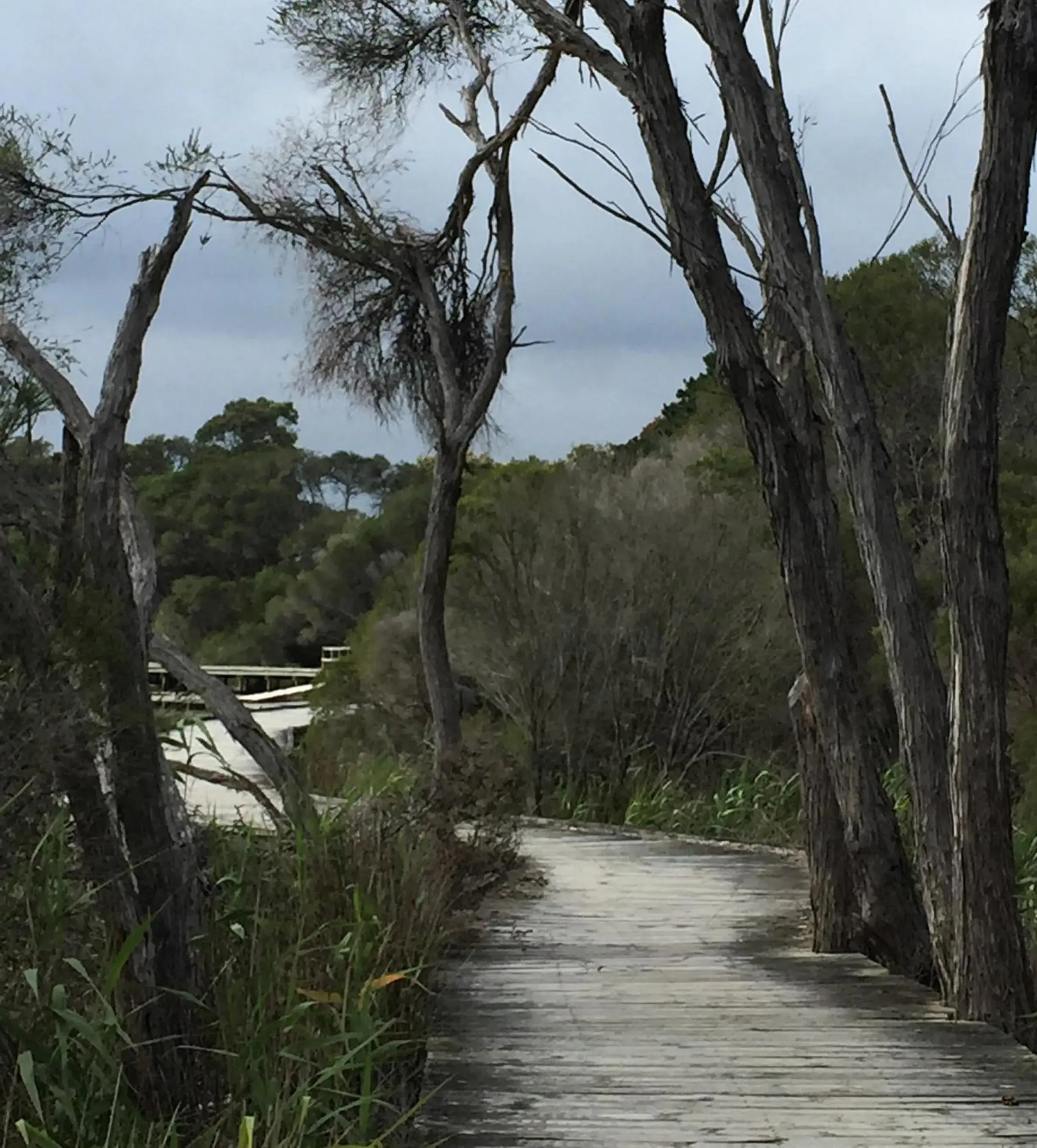 Nearby landmark, Natural Landscape in Coachman's Eden