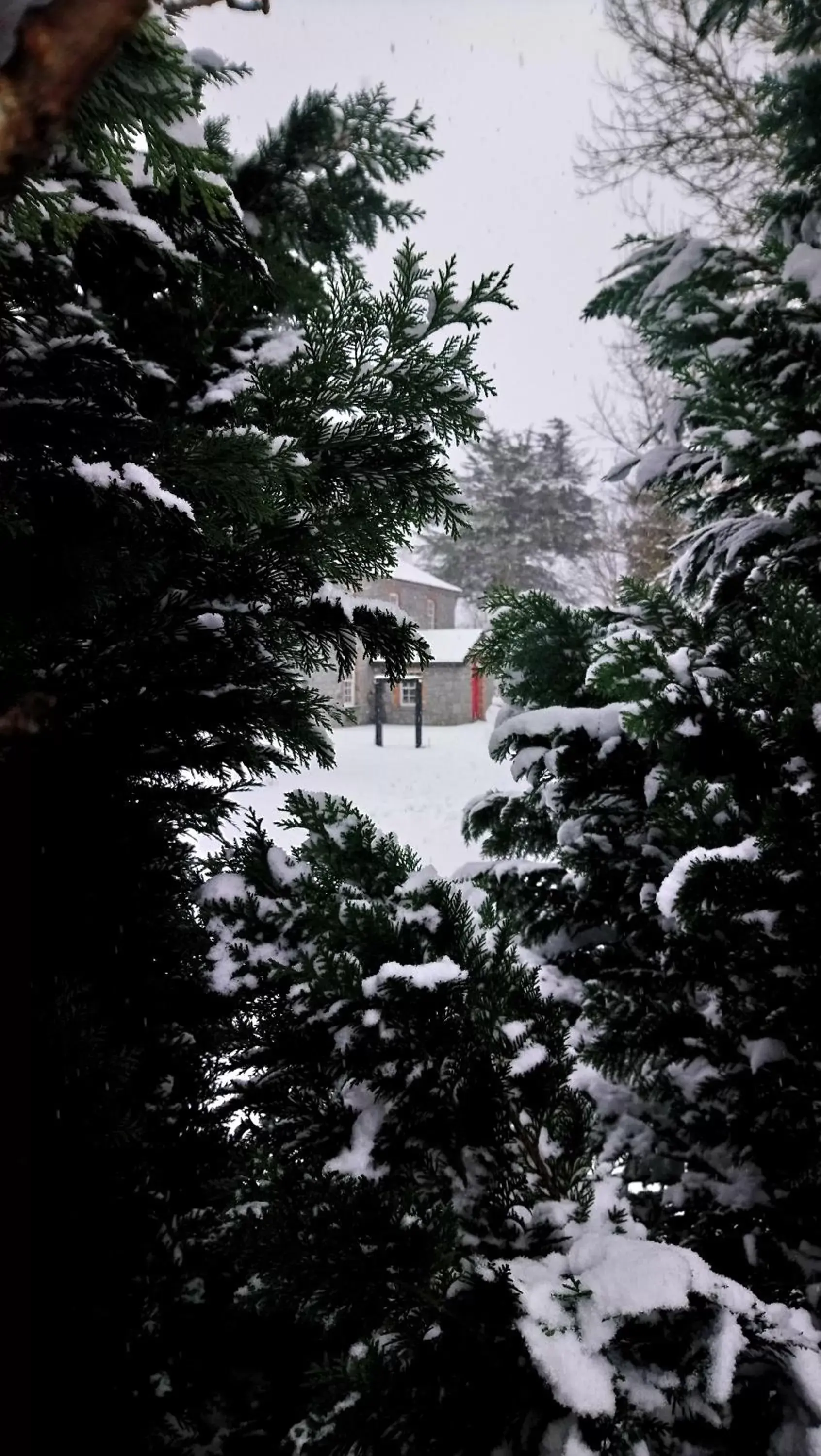 Winter in Knockaderry House