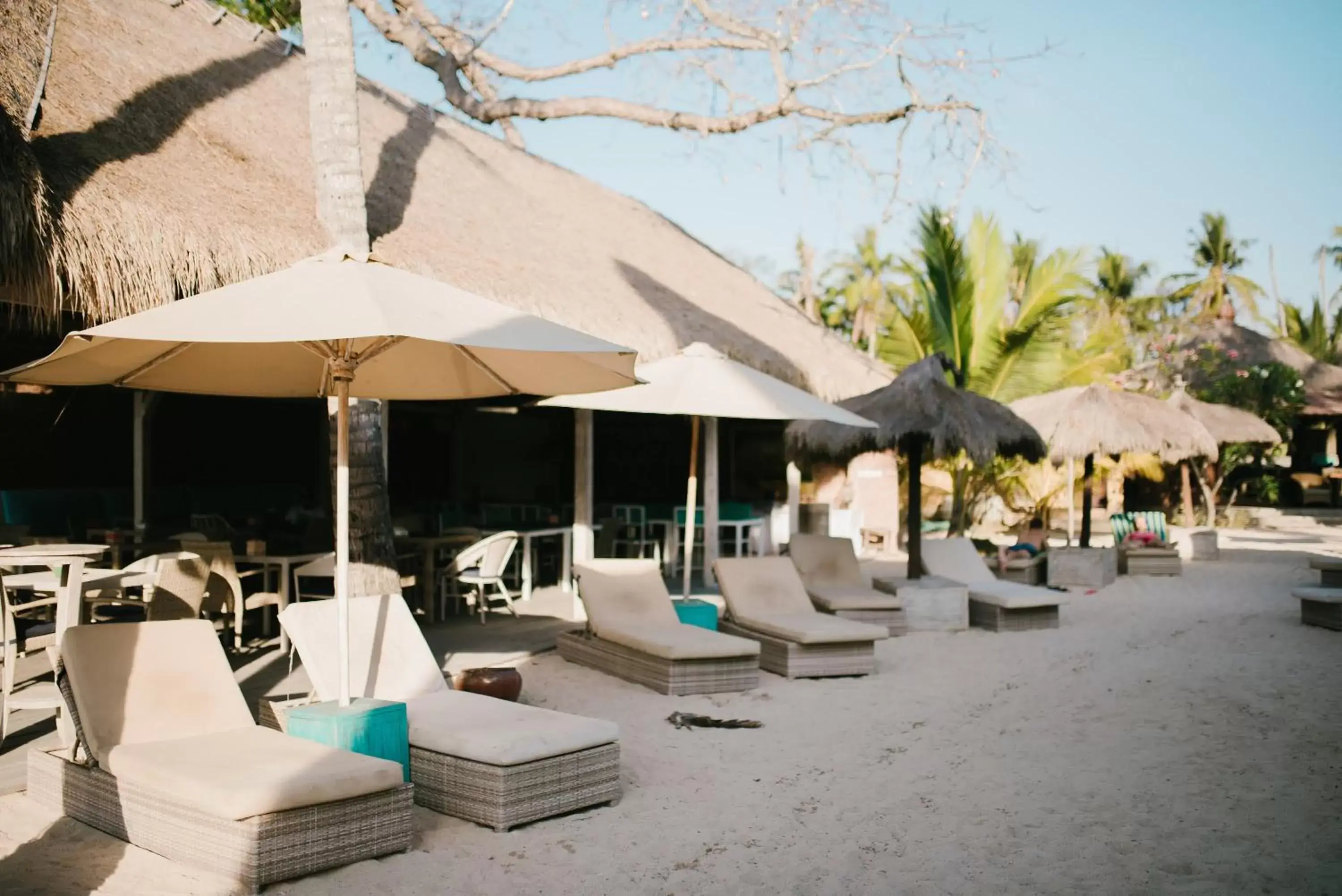 Swimming pool, Beach in Le Nusa Beach Club