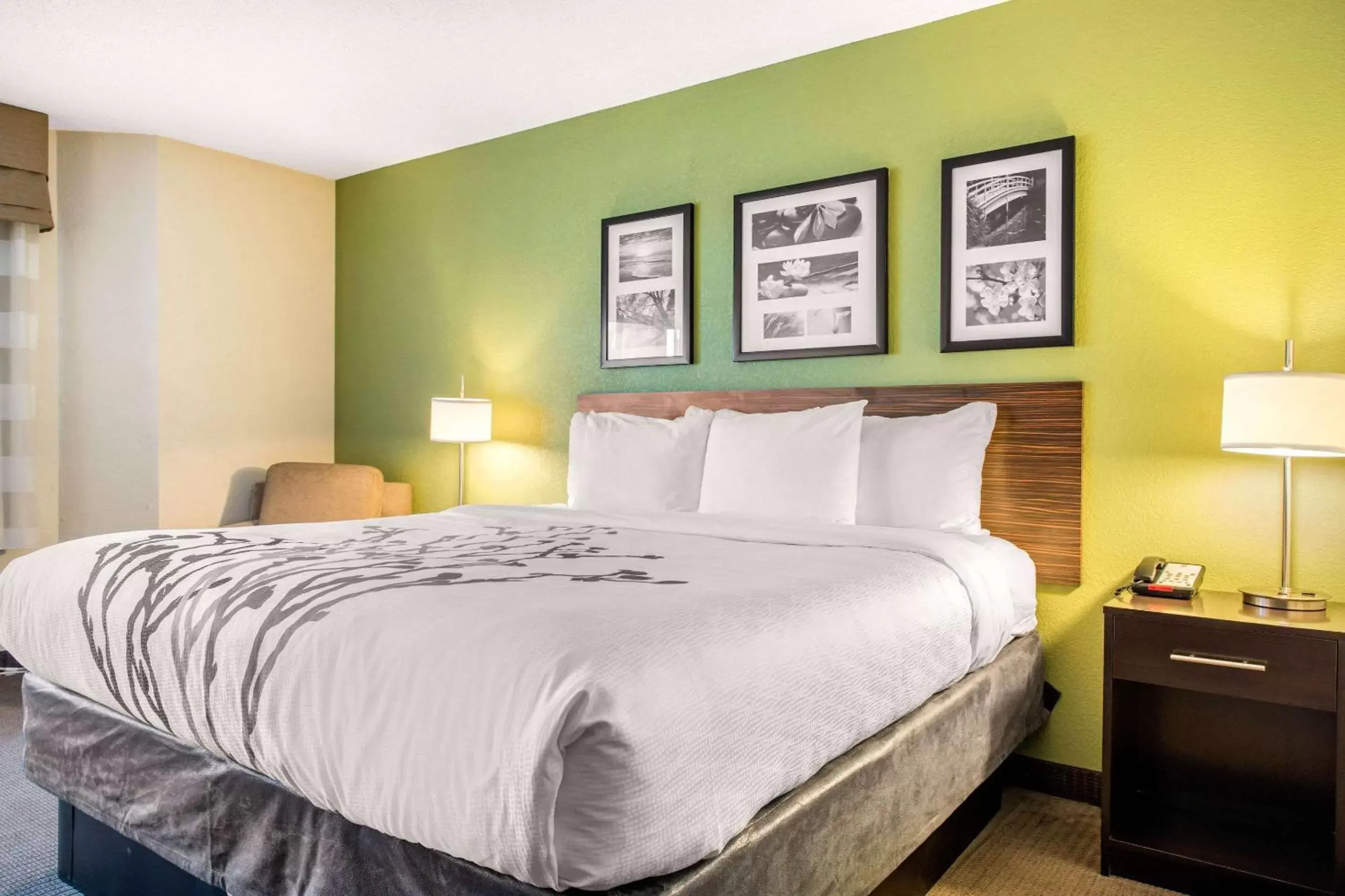 Photo of the whole room, Bed in Sleep Inn & Suites Columbus