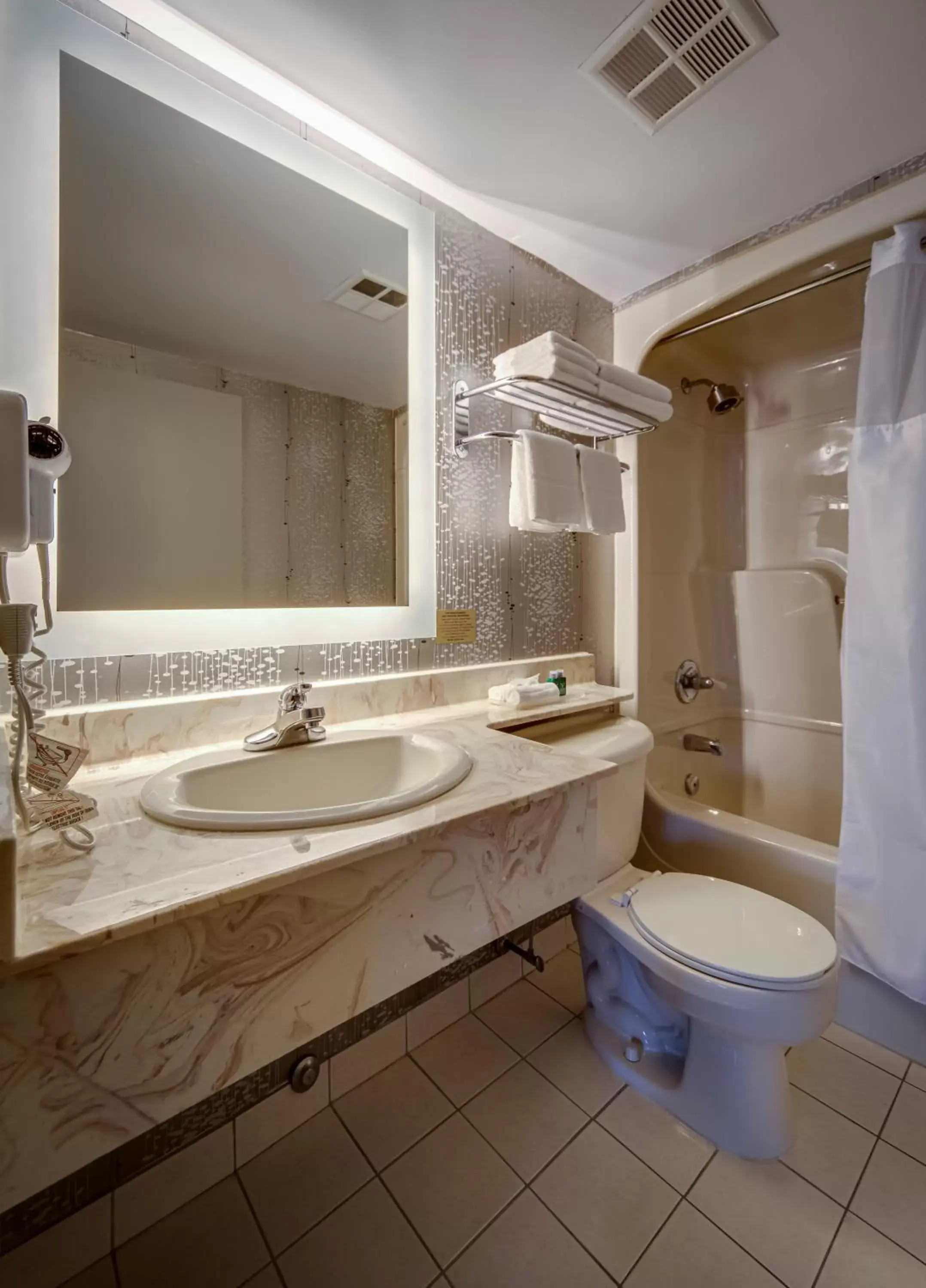 Toilet, Bathroom in Monte Carlo Inn Markham