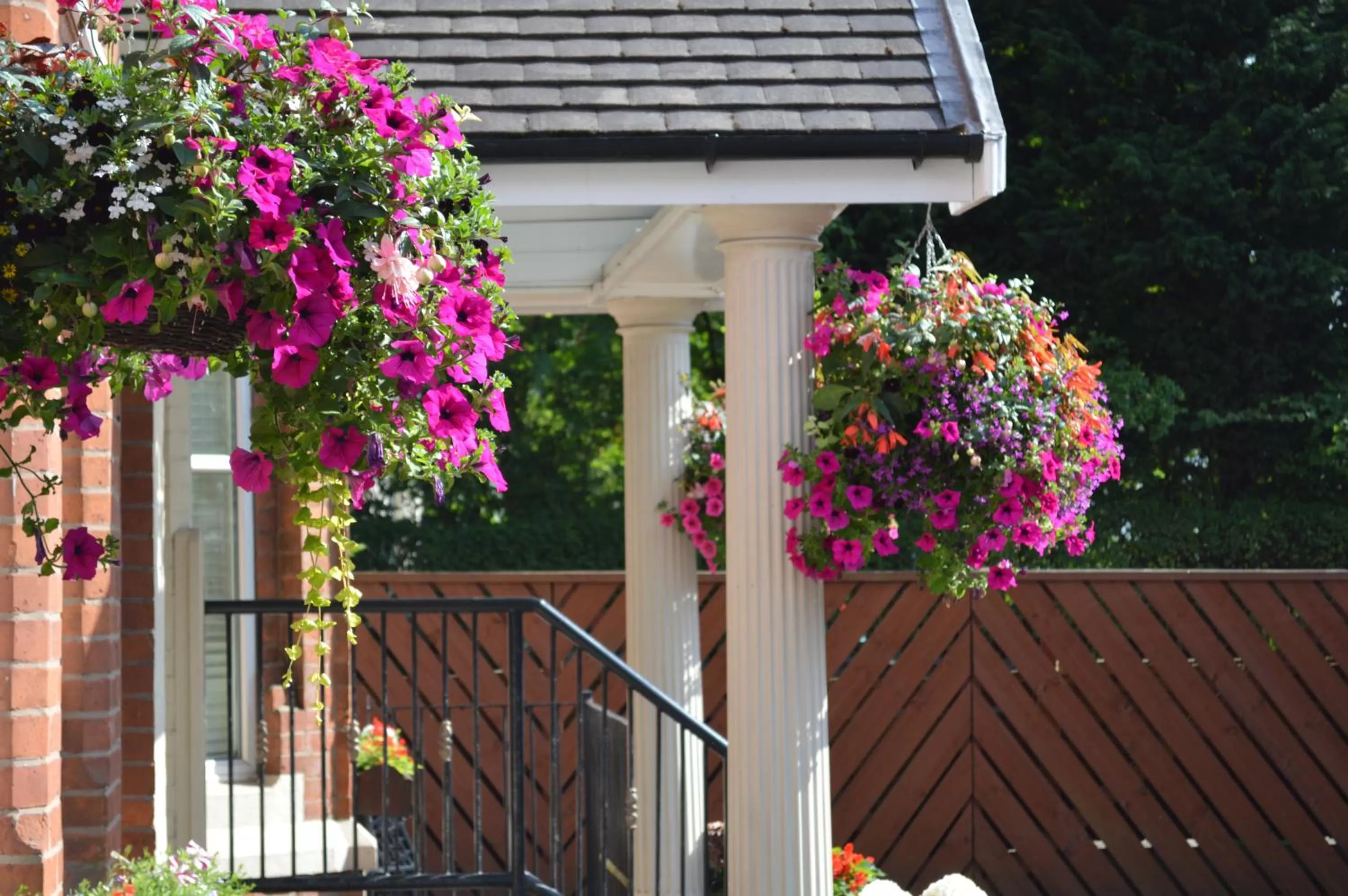 Day in The Westlynne Hotel & Apartments