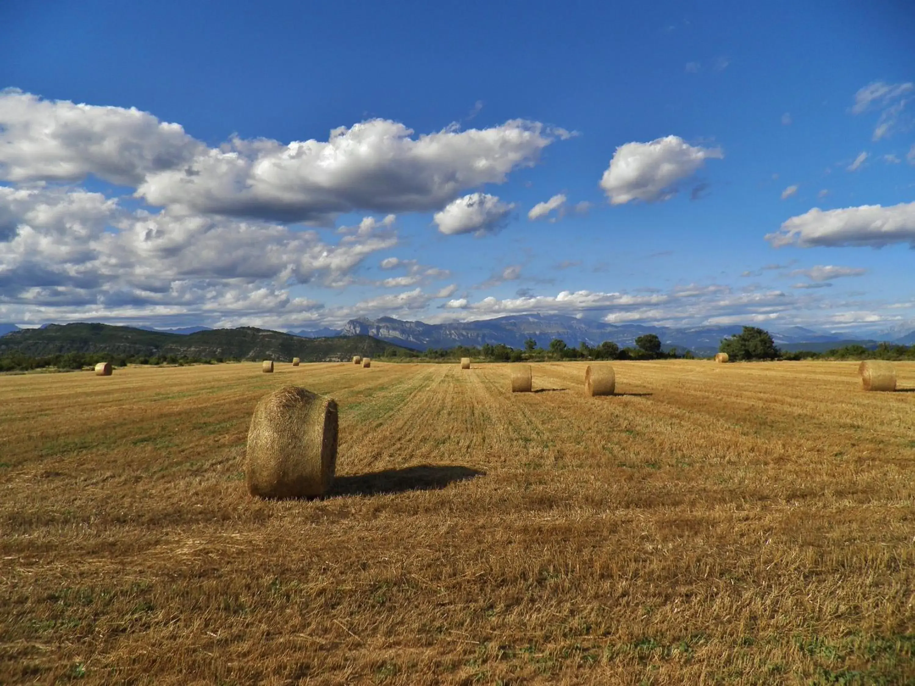 Area and facilities, Natural Landscape in Hotel Meson de LAinsa