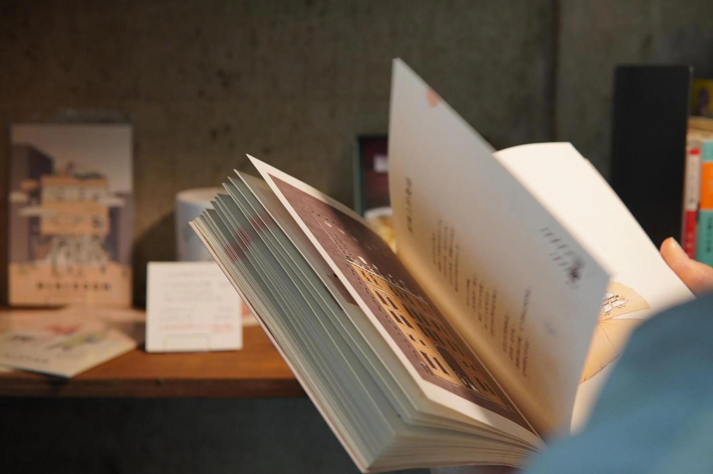 Communal lounge/ TV room in Hostel Niniroom