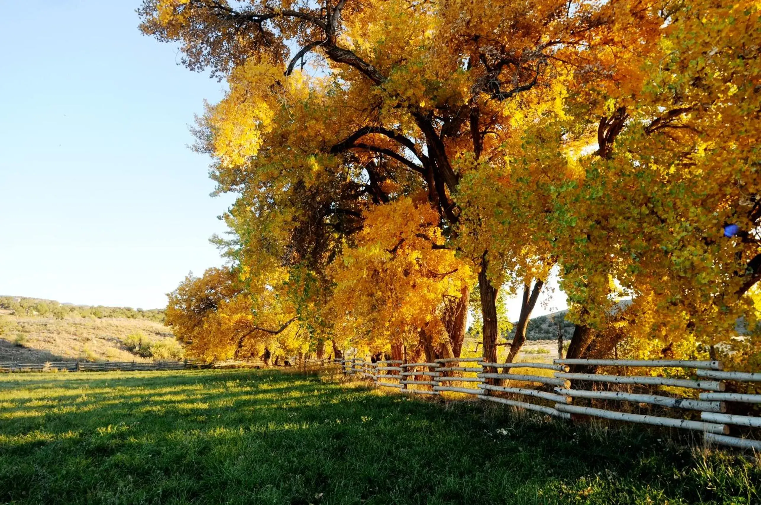 Day, Garden in Canyon Of The Ancients Guest Ranch