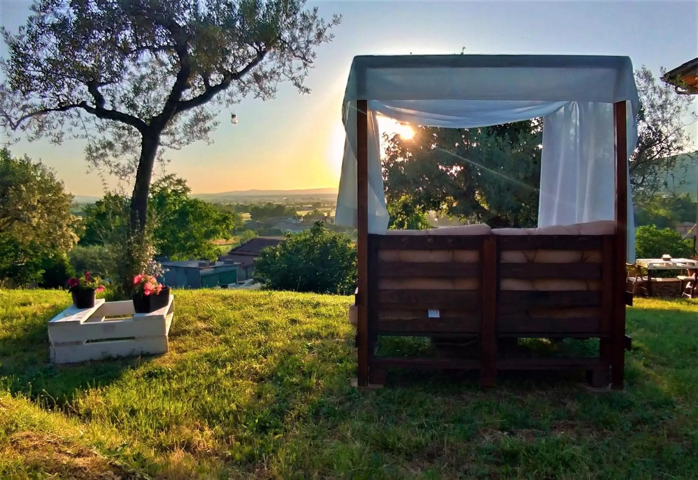 Natural landscape in La Casa tra Gli Ulivi Cottage House