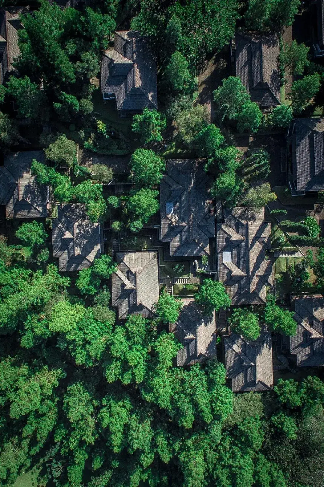 Bird's eye view, Bird's-eye View in Puteri Gunung Hotel