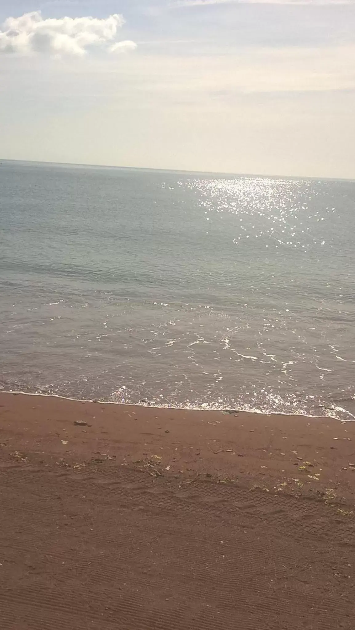 Beach in Trentham House