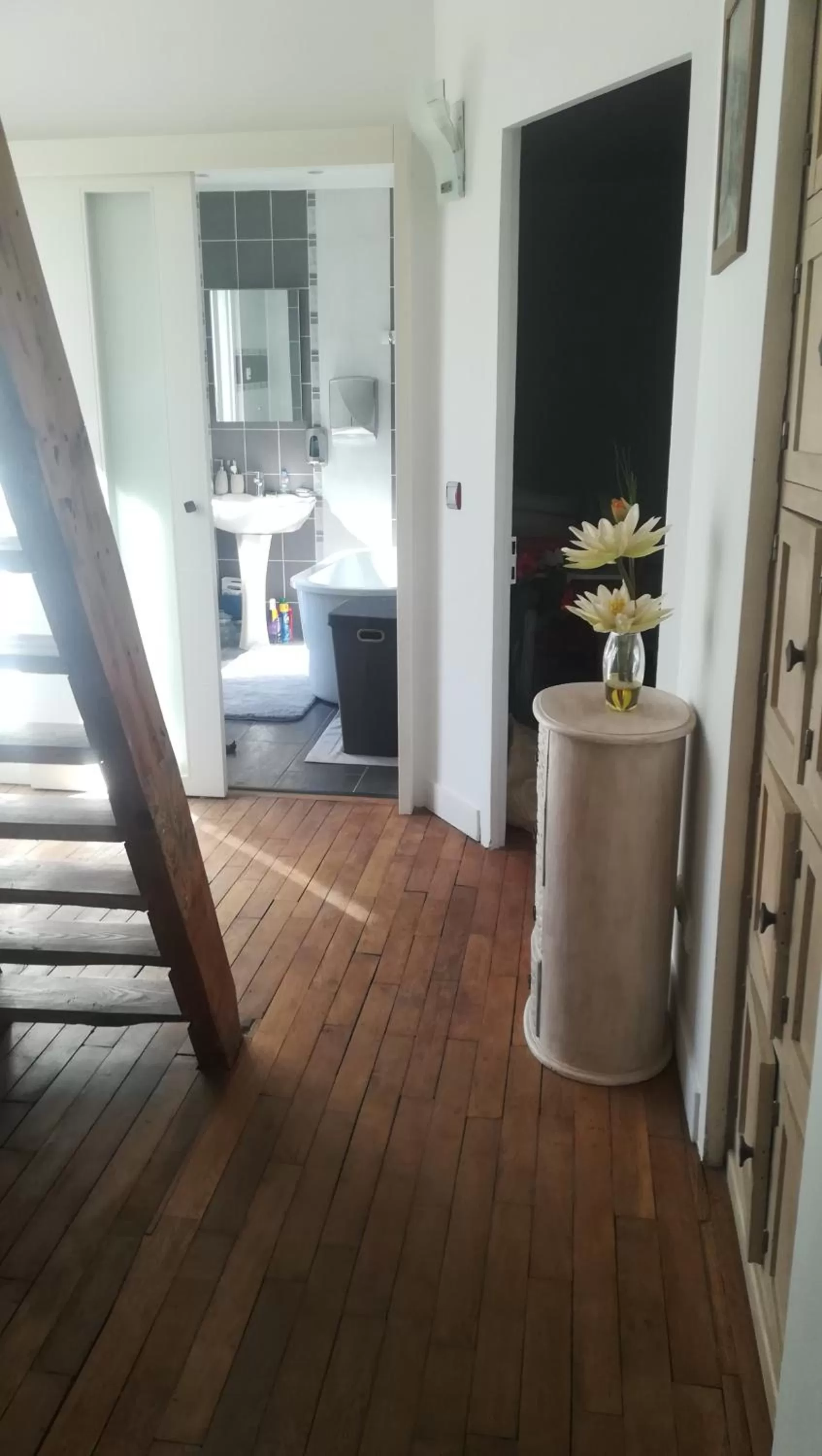 LES PINGOUINS DE LA MARNE