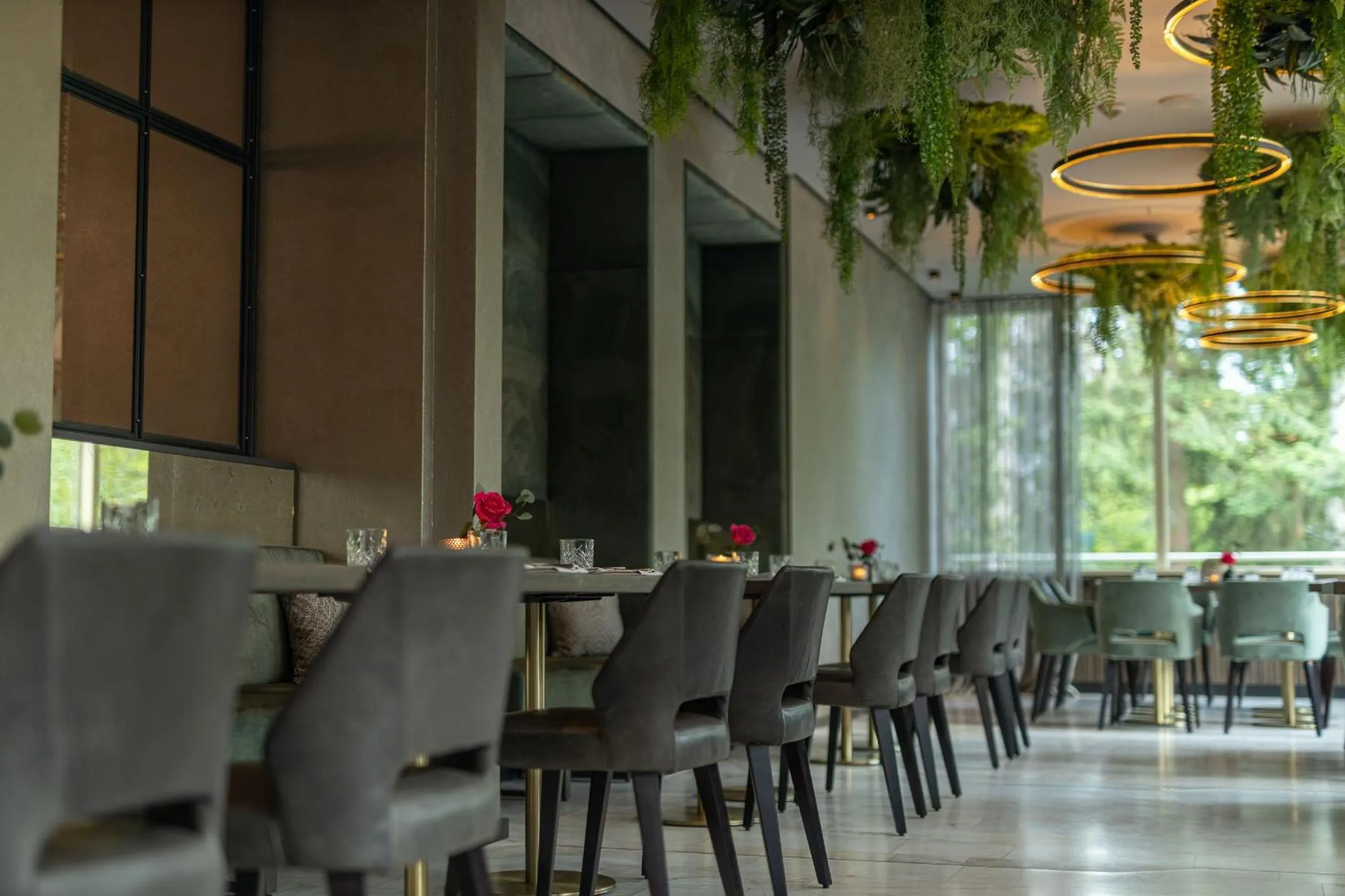 Restaurant/places to eat in Parkhotel Schmid