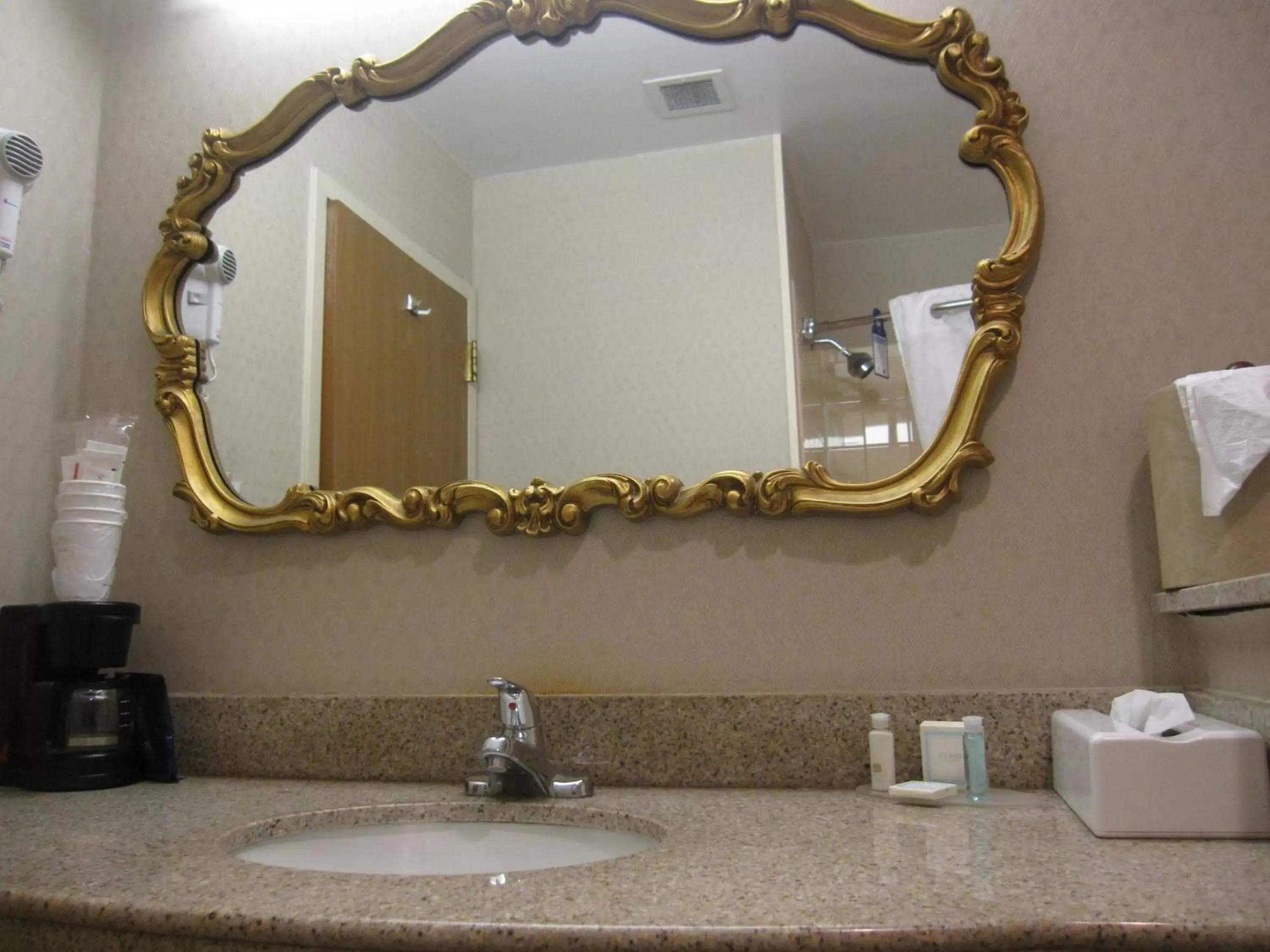 Bathroom in Best Western University Inn