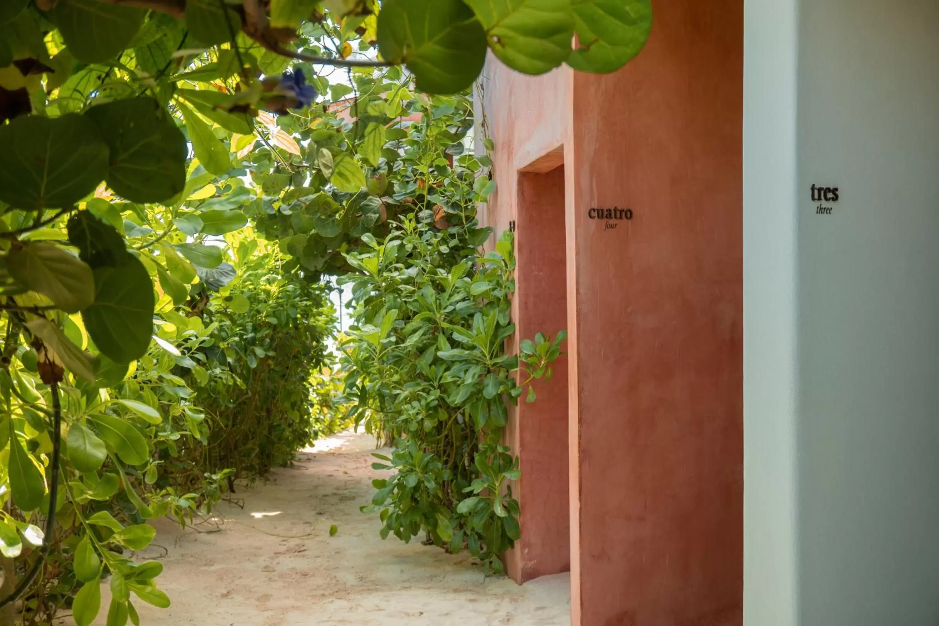 Property building in Tago Tulum by G Hotels