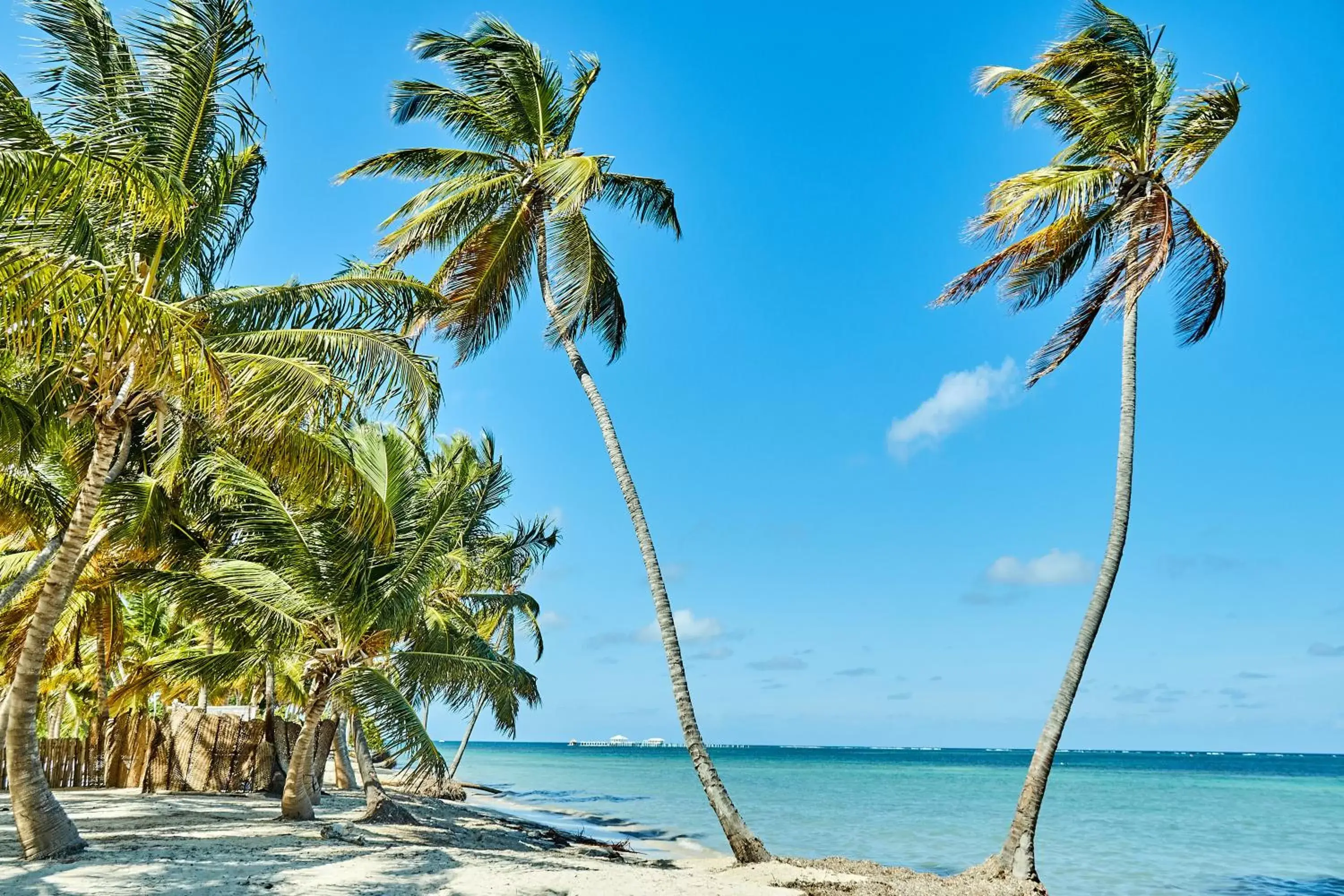 Natural landscape in Flor del Mar Condo Punta Cana Beachfront