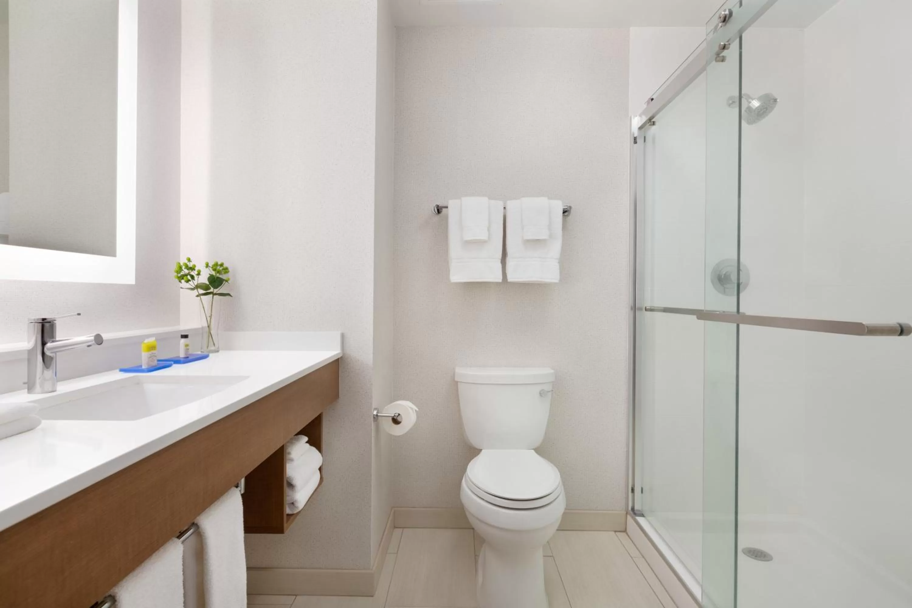 Bathroom in Holiday Inn Express & Suites Merced - Yosemite Natl Pk Area by IHG