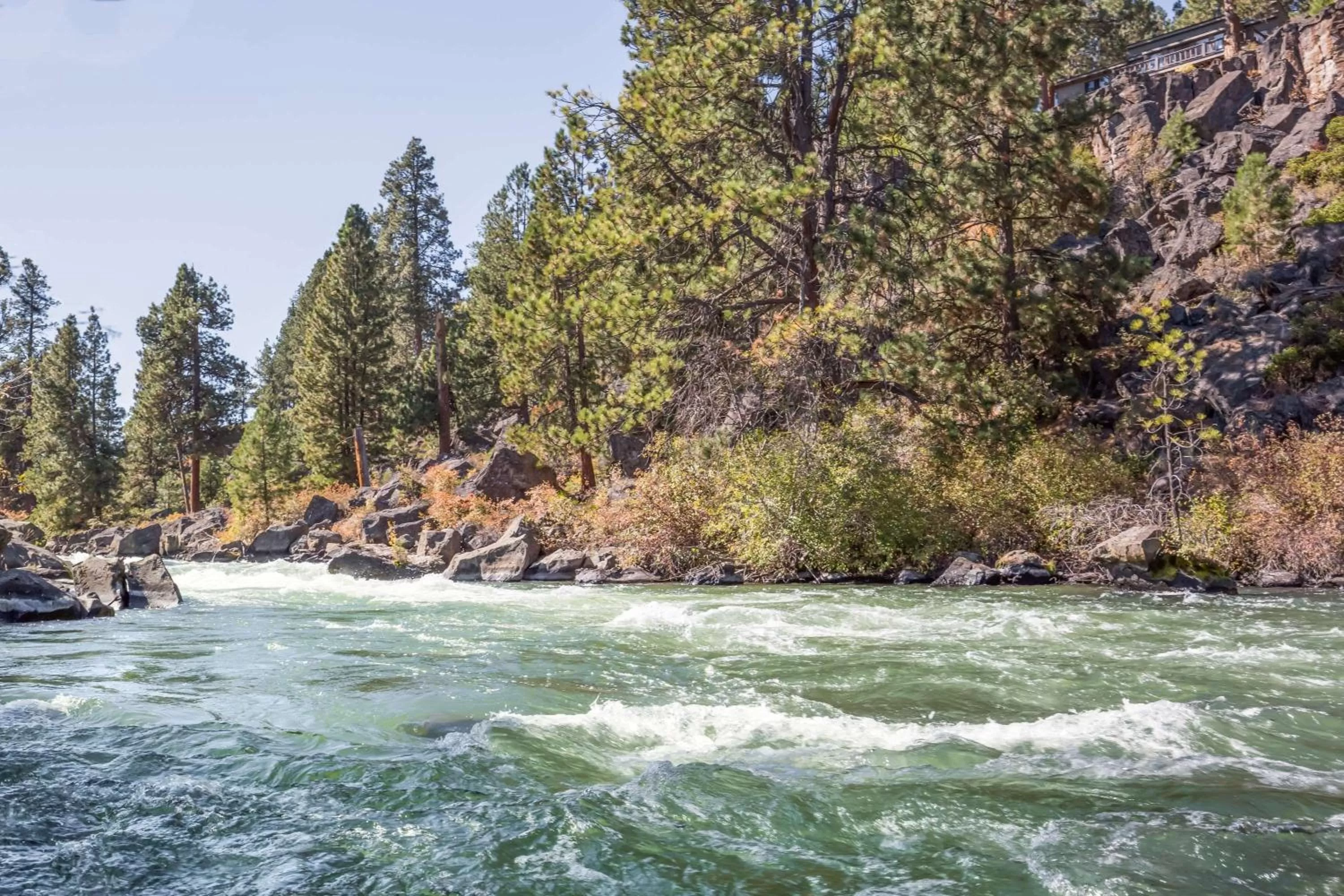 Other in Super 8 by Wyndham Bend