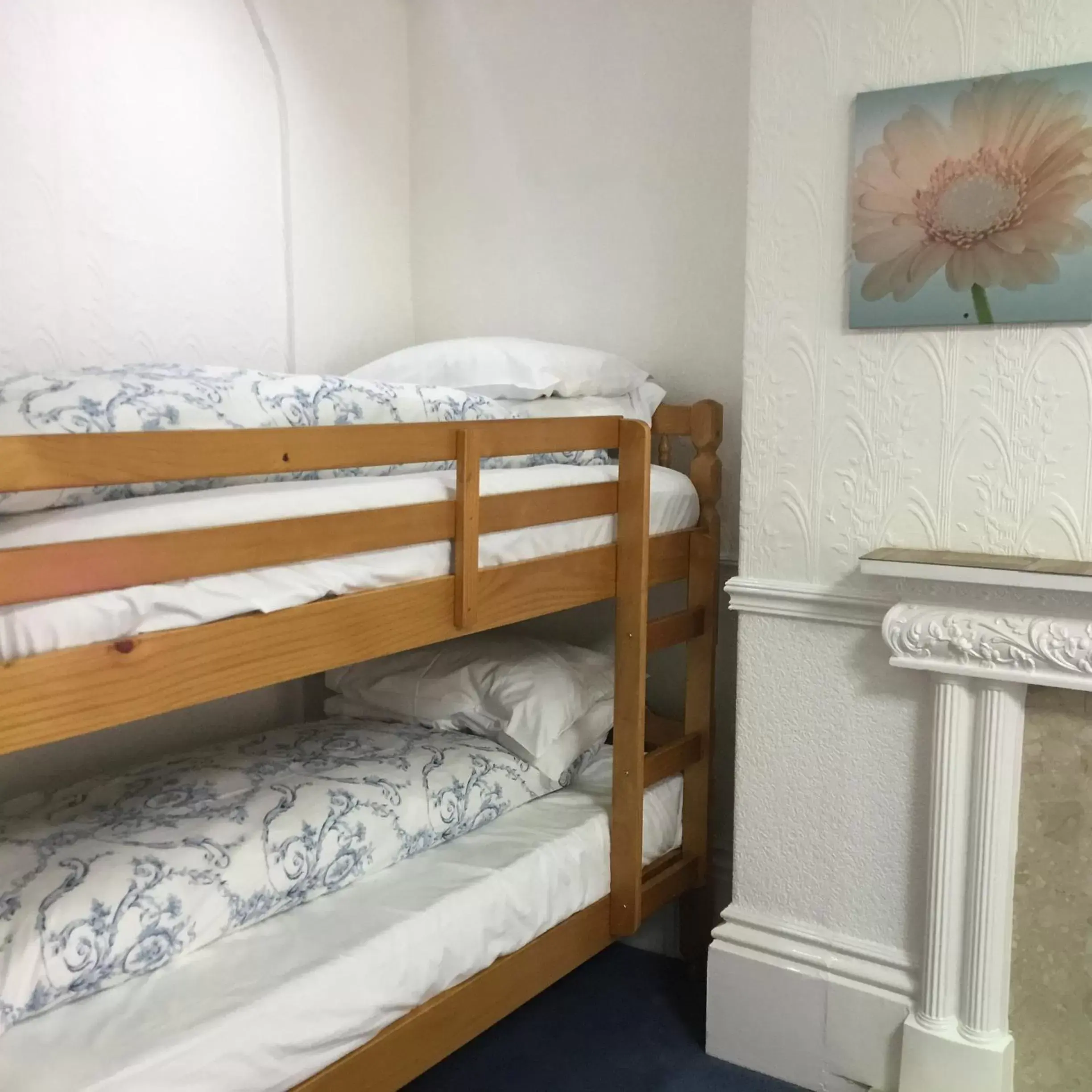 Bunk Bed in Danescourt Lodge