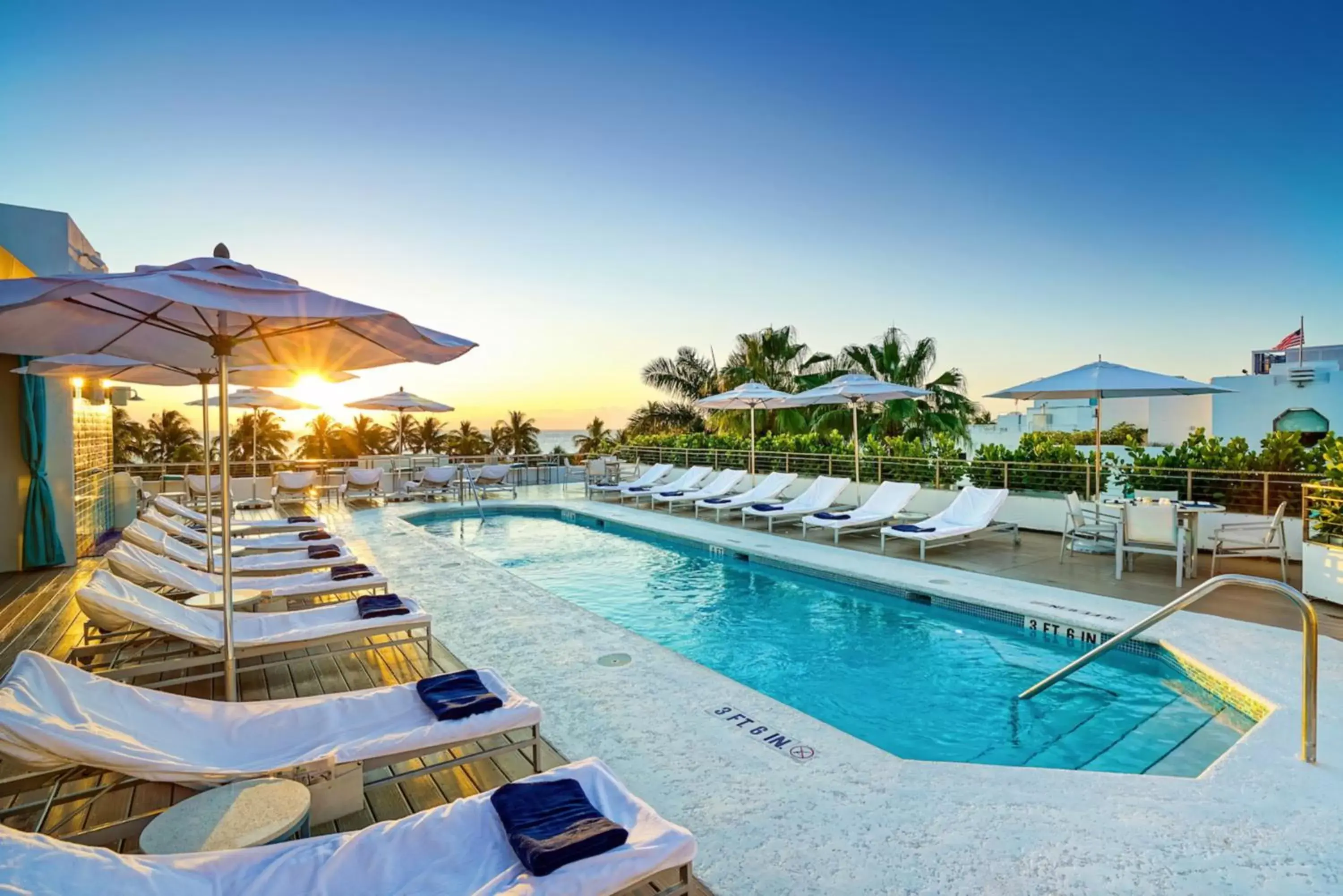 Swimming Pool in The Tony Hotel South Beach