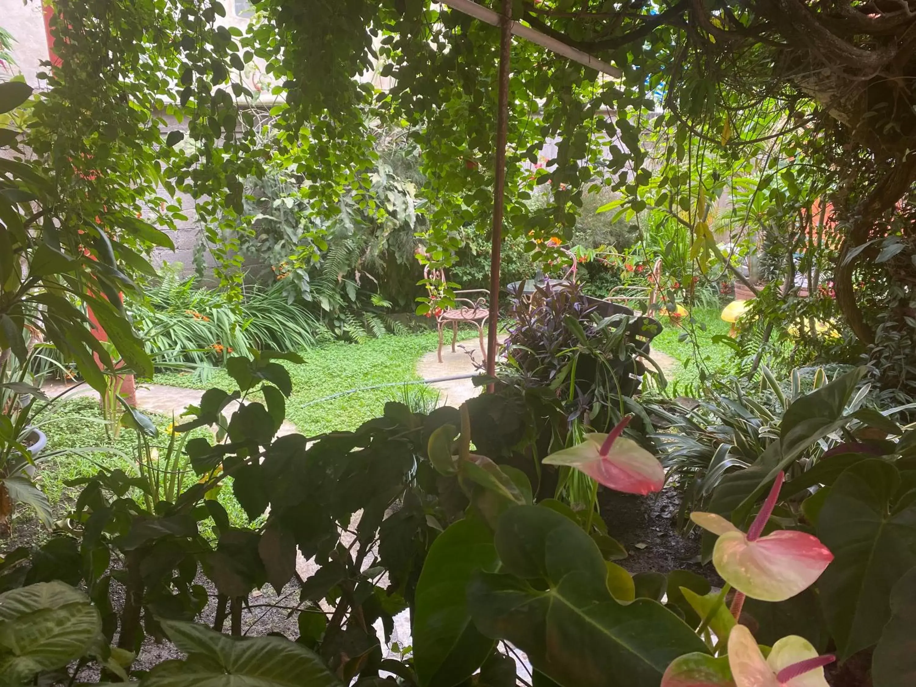 Garden in Flor de Cera