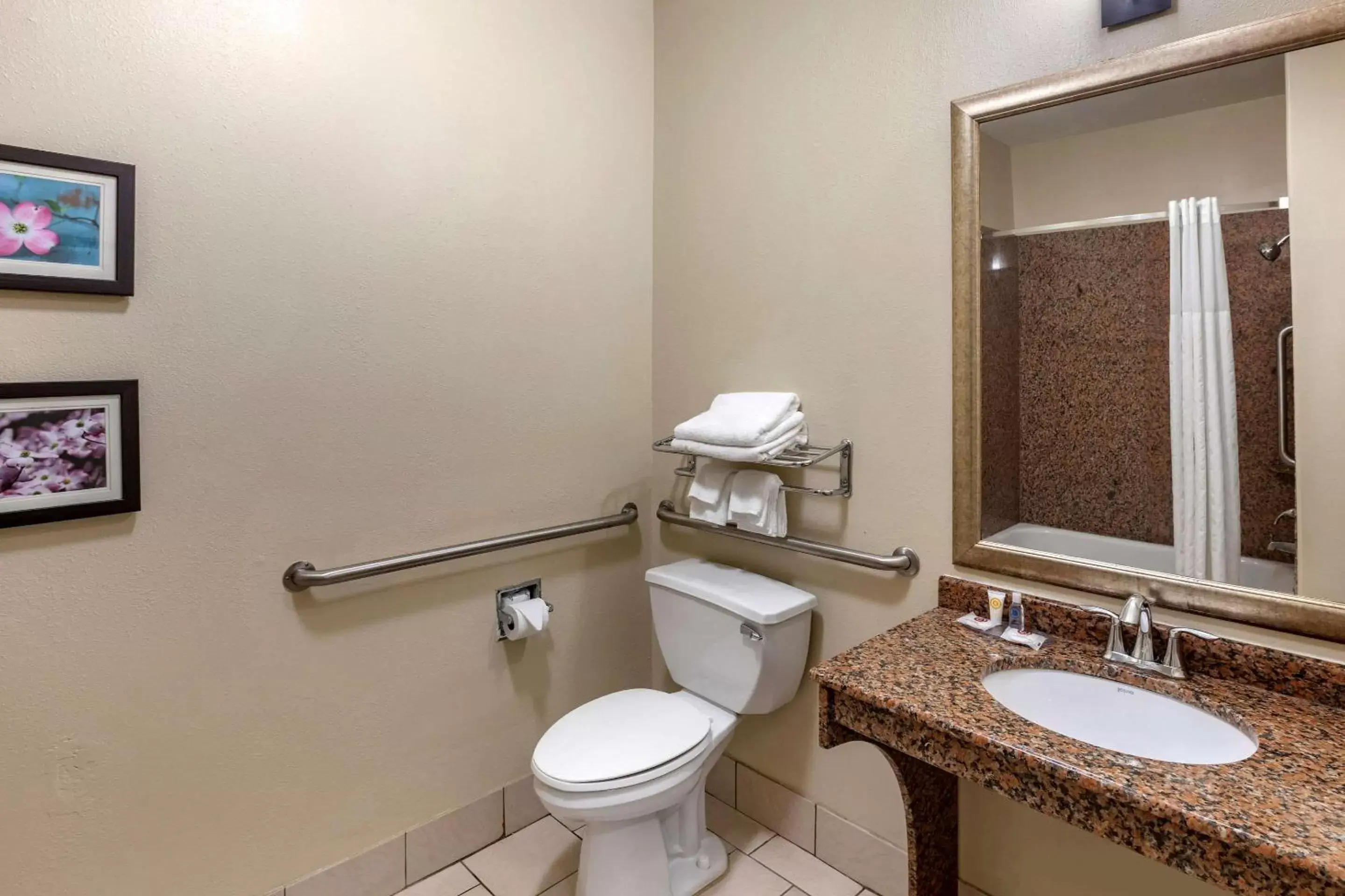 Bathroom in Comfort Inn & Suites Villa Rica