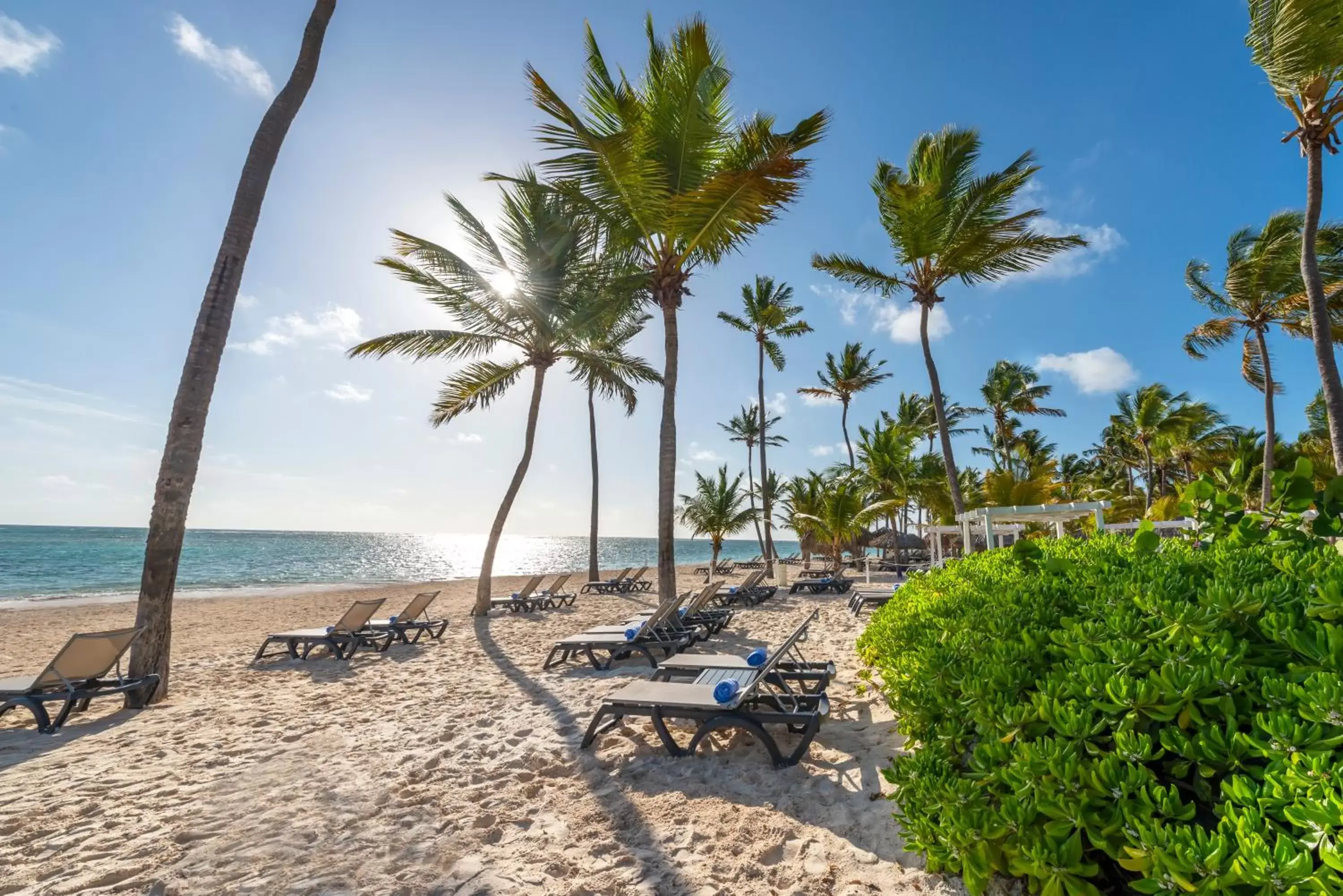 Beach in Catalonia Punta Cana - All Inclusive