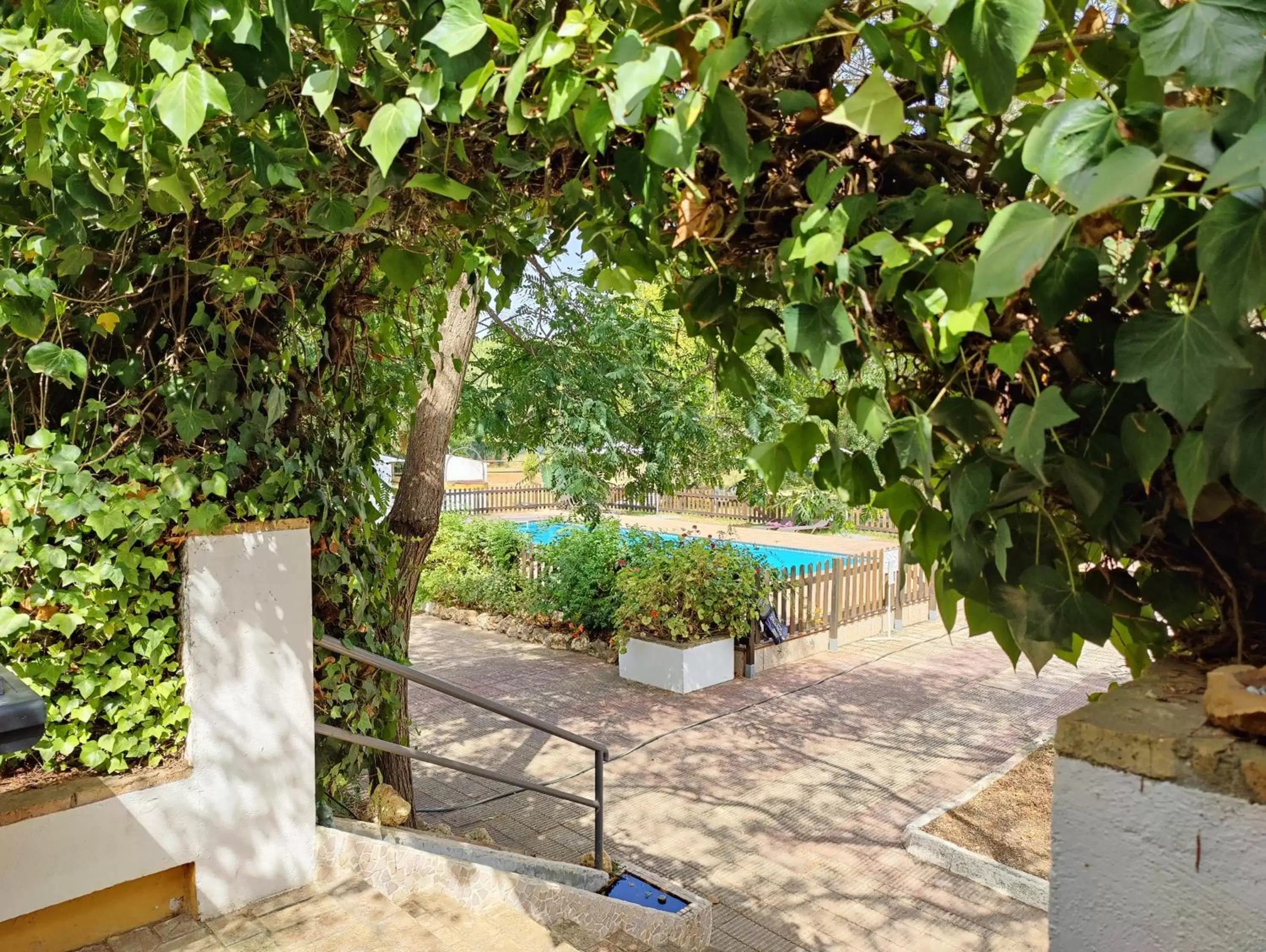 Pool view in Cortijo Los Conquistadores