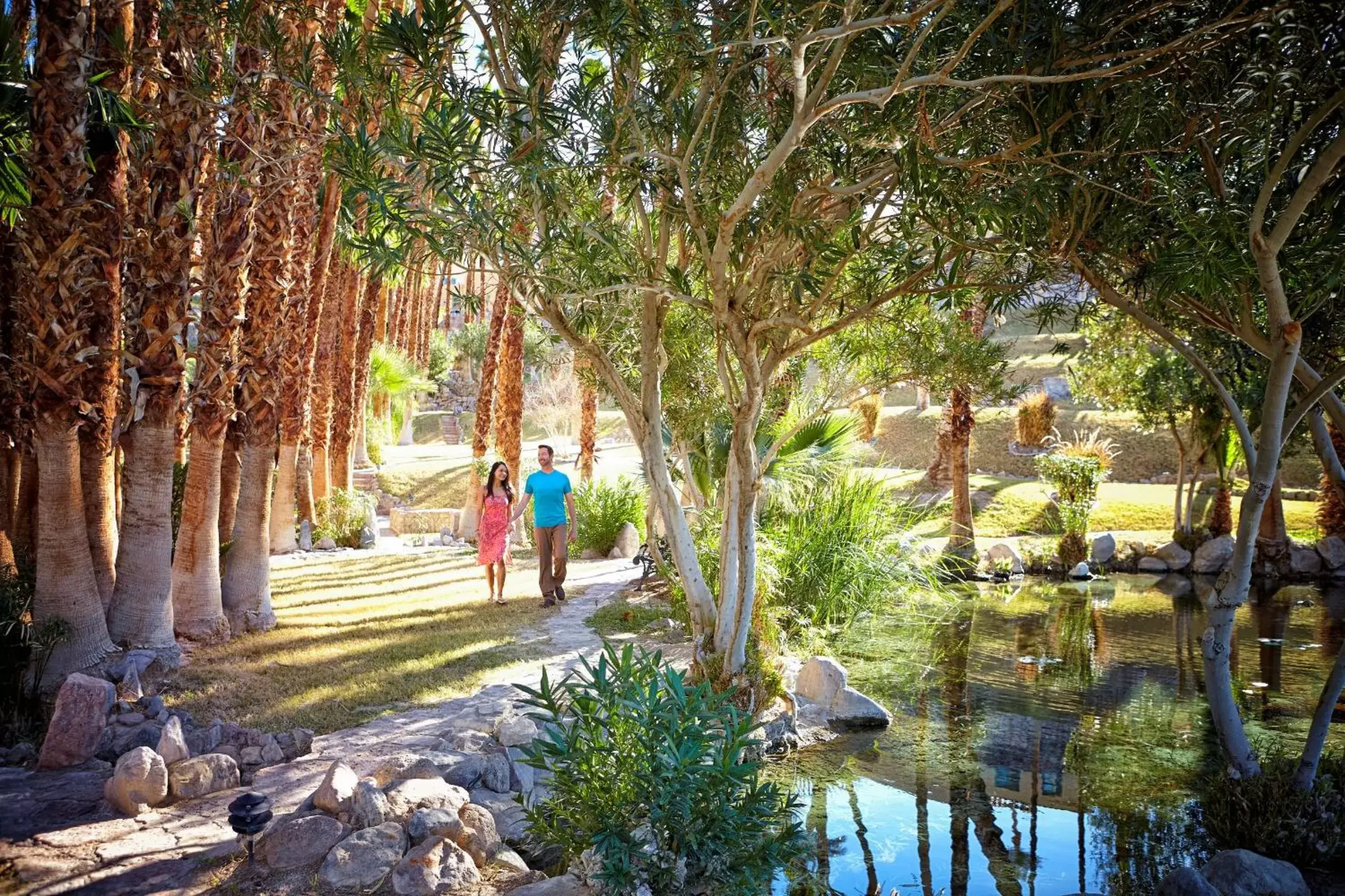 Garden in The Inn at Death Valley