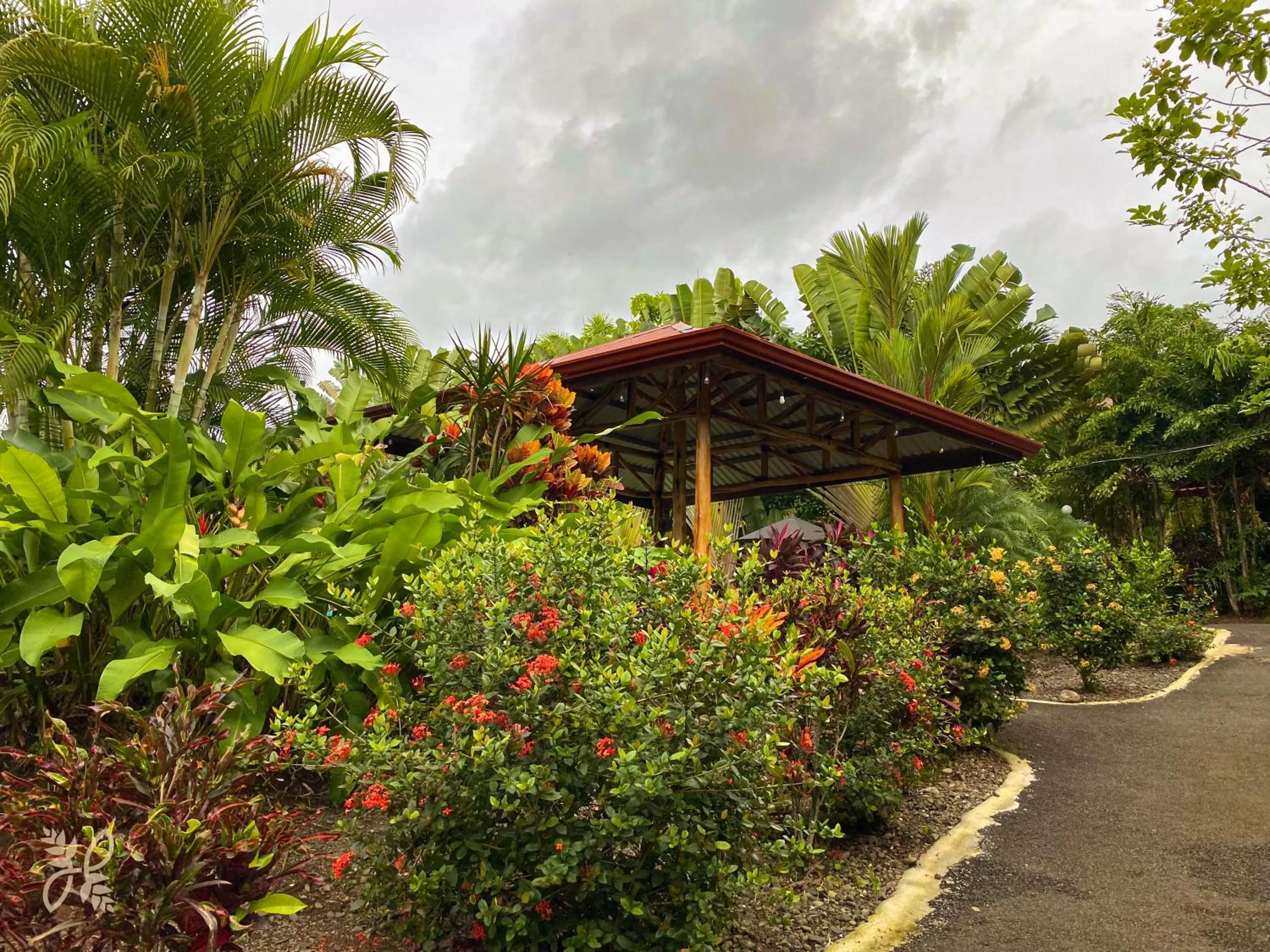 Garden in Hotel Heliconias Nature Inn & Hot Springs