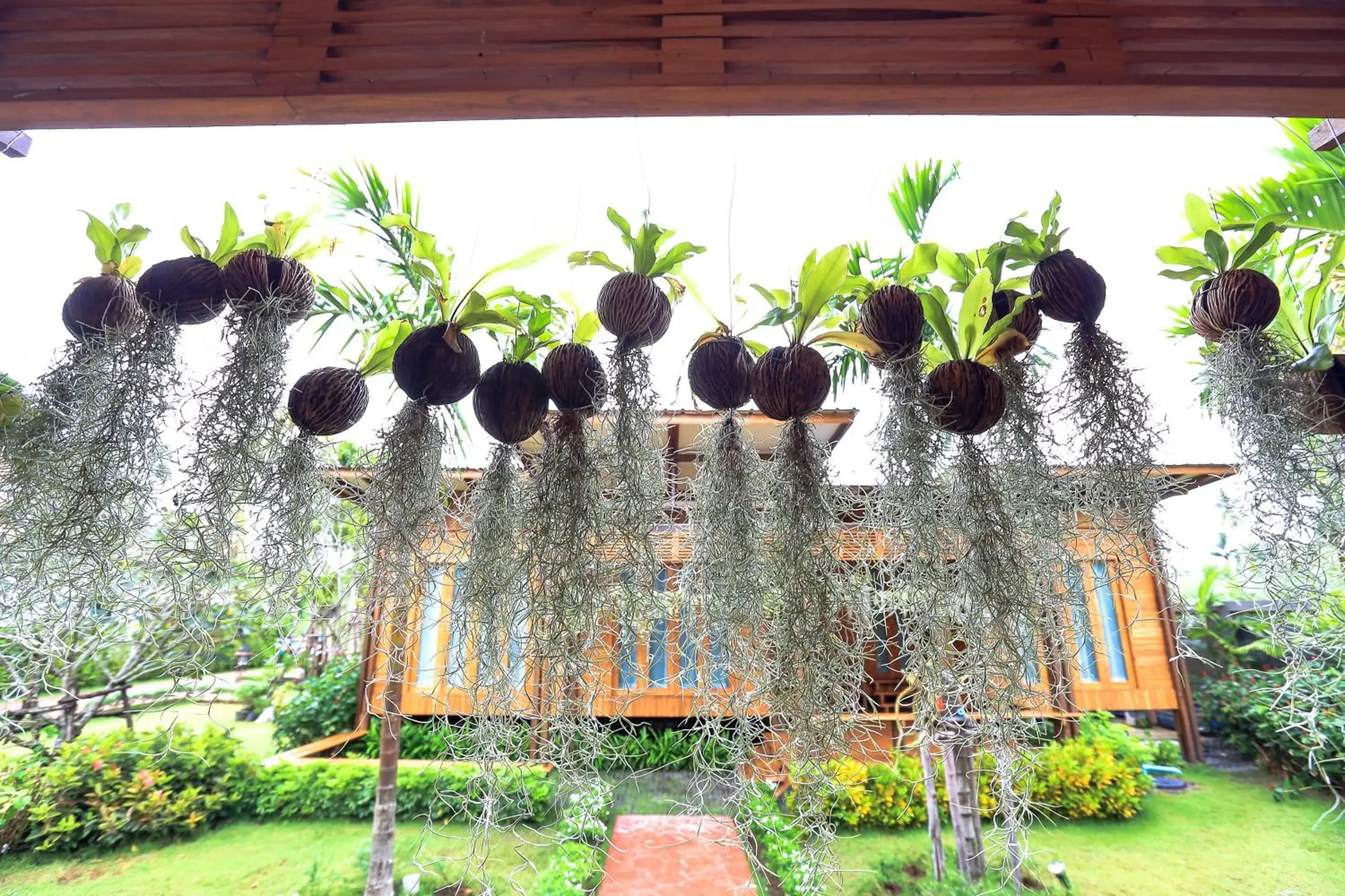 Garden in Viangviman Luxury Resort, Krabi