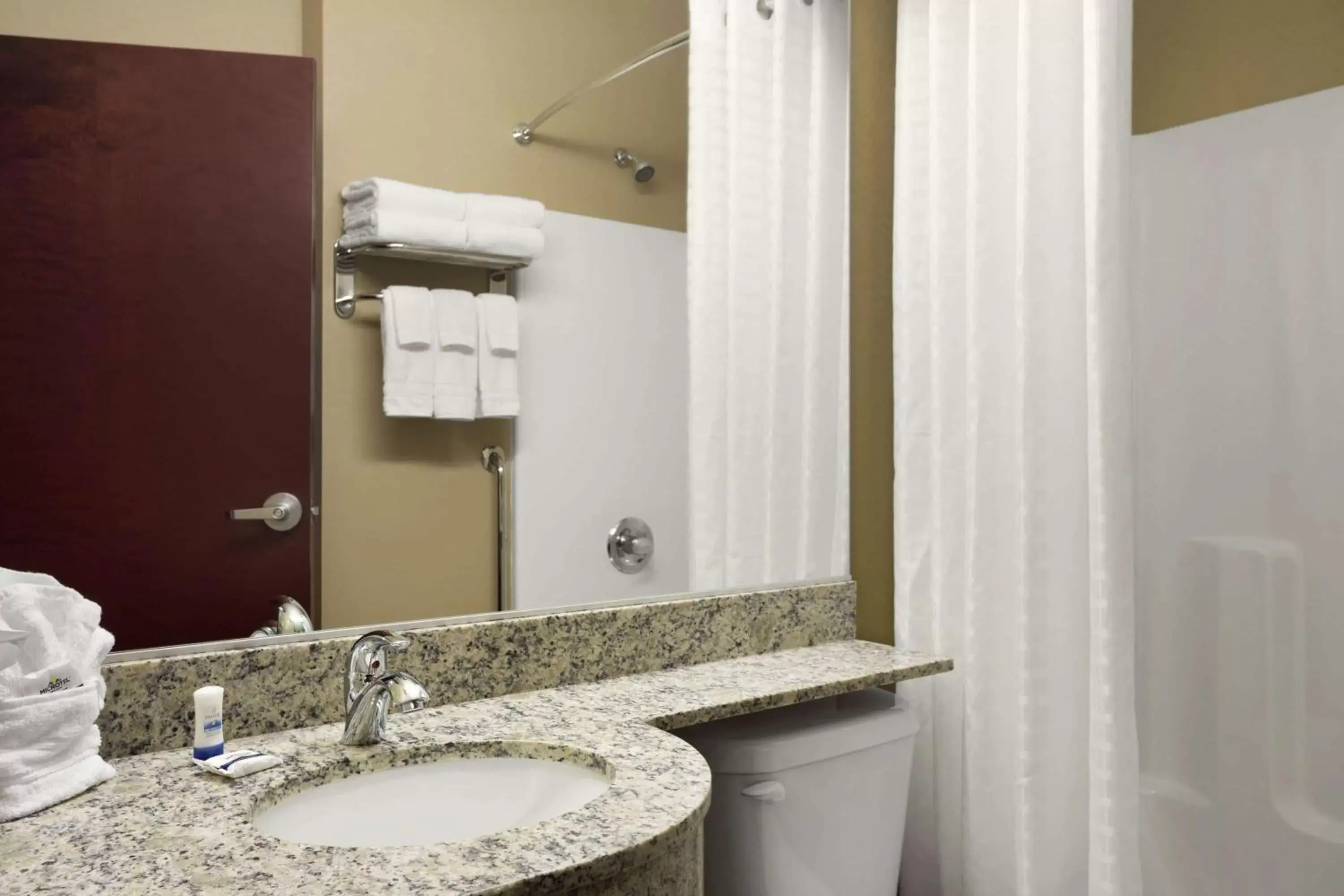 Bathroom in Microtel Inn and Suites Carrollton