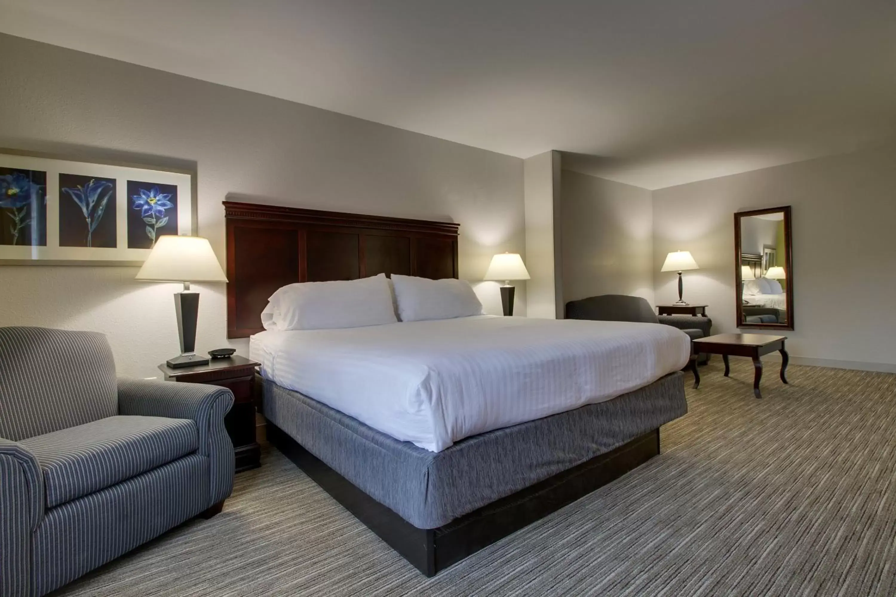 Bedroom, Bed in Holiday Inn Express Hotel & Suites Middleboro Raynham, an IHG Hotel