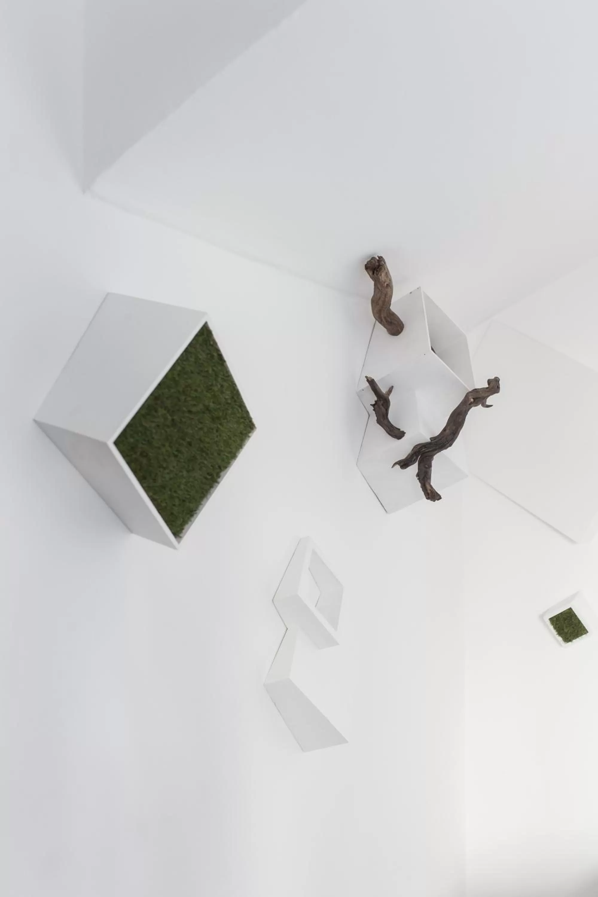 Photo of the whole room in Albergo Ristorante San Giors