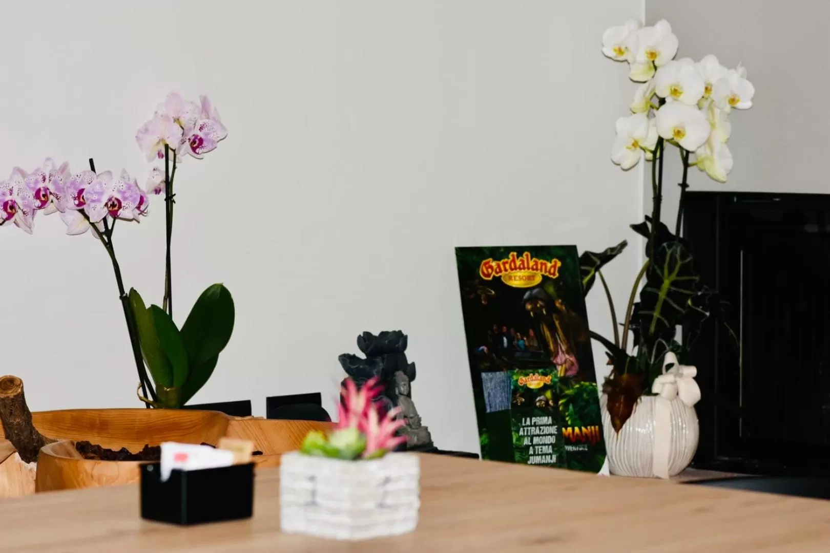 Lobby or reception in Il Vigneto