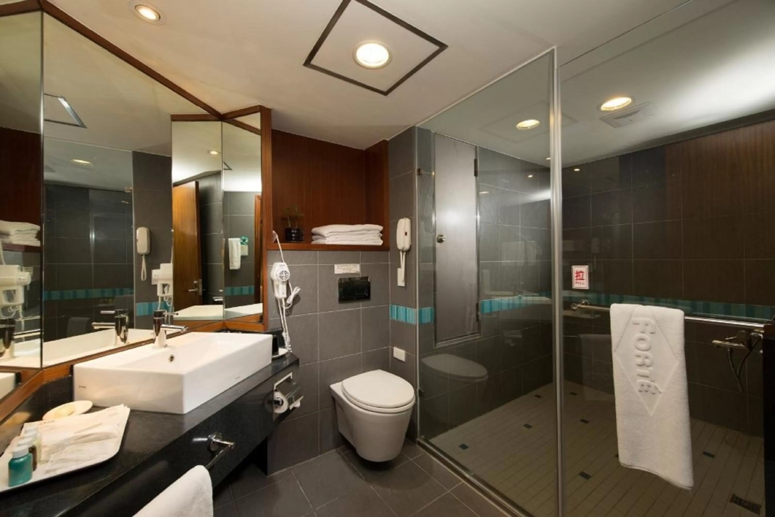 Shower in Guide Hotel Hsinchu Zhongyang