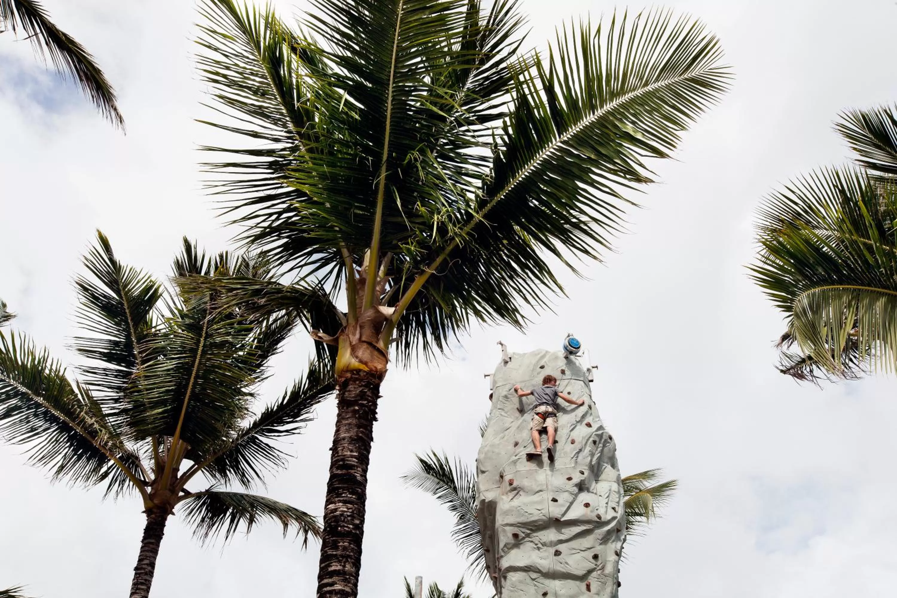 Evening entertainment in Occidental Caribe - All Inclusive