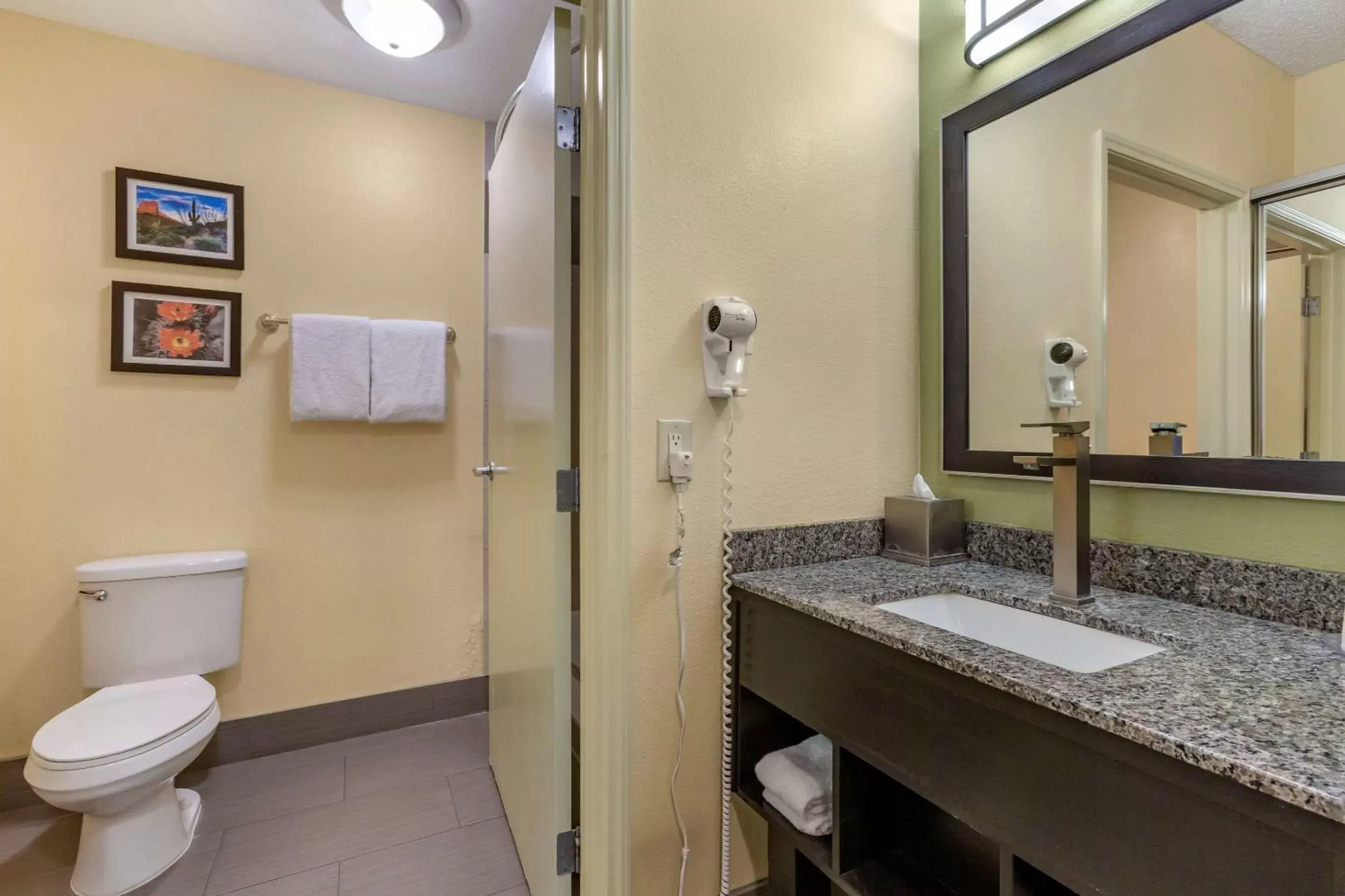 Bathroom in Comfort Inn Chandler - Phoenix South I-10