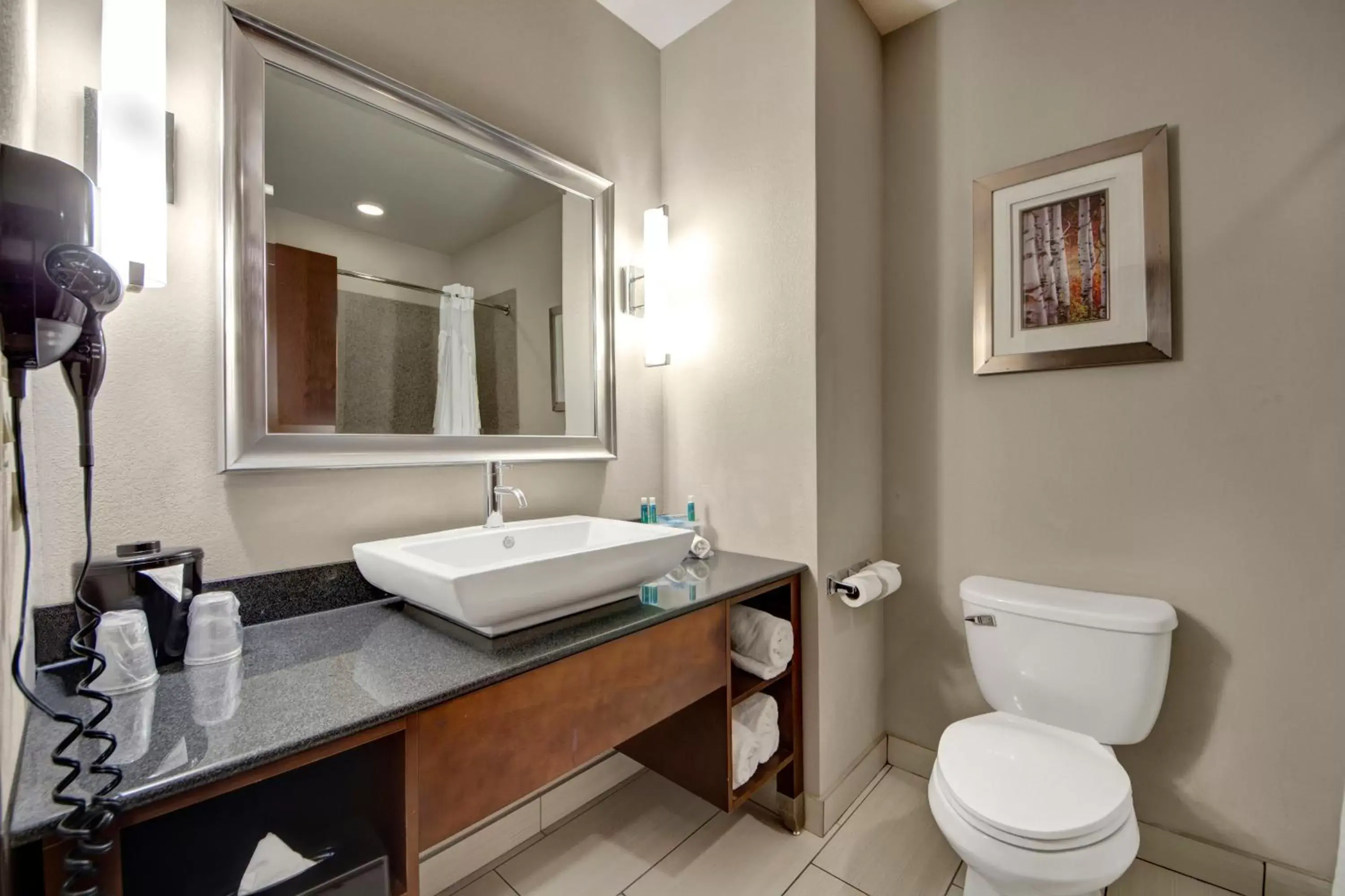 Bathroom in Holiday Inn Express and Suites Oklahoma City North, an IHG Hotel