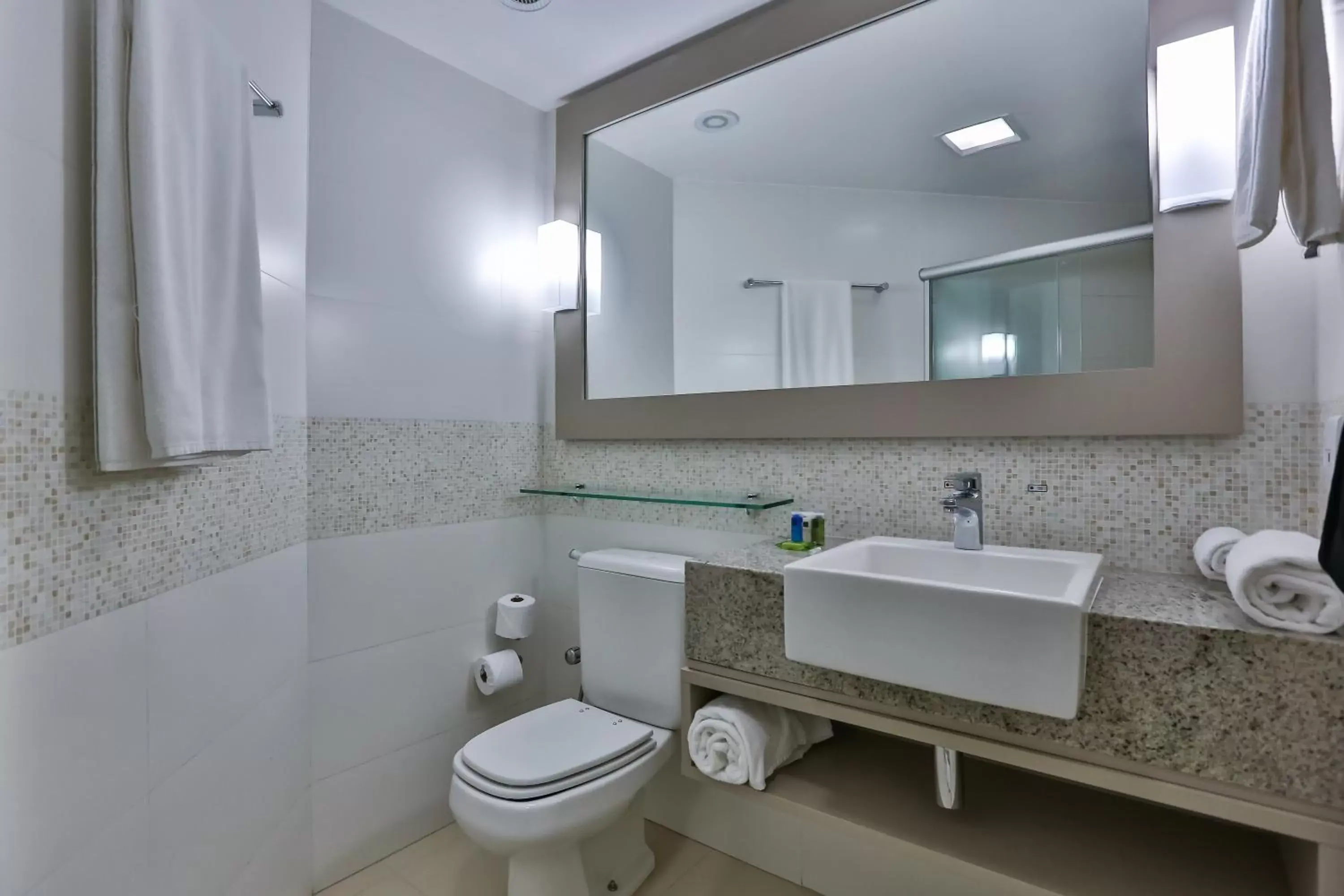 Bathroom in Radisson Recife