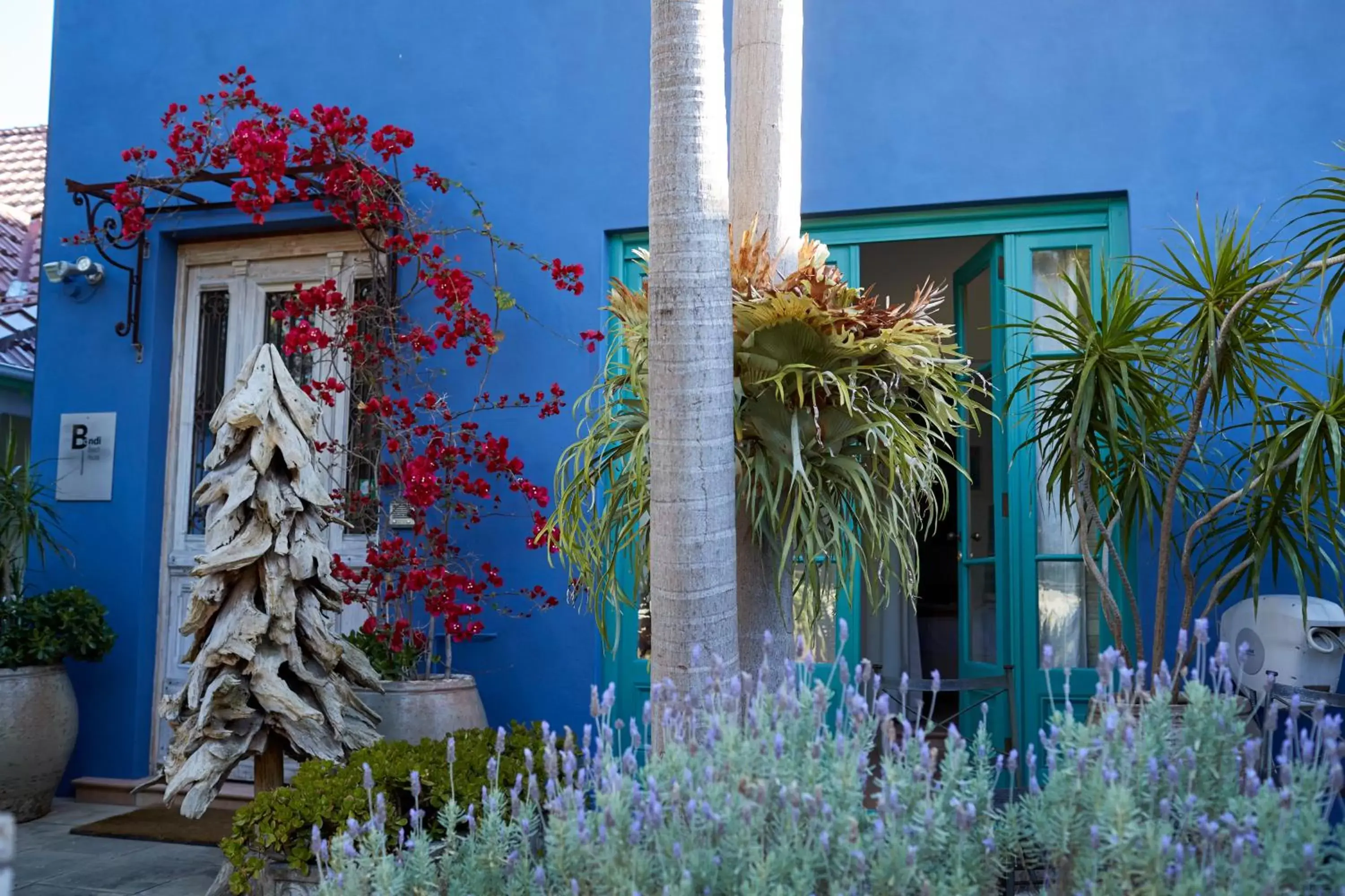 Facade/entrance in Bondi Beach House