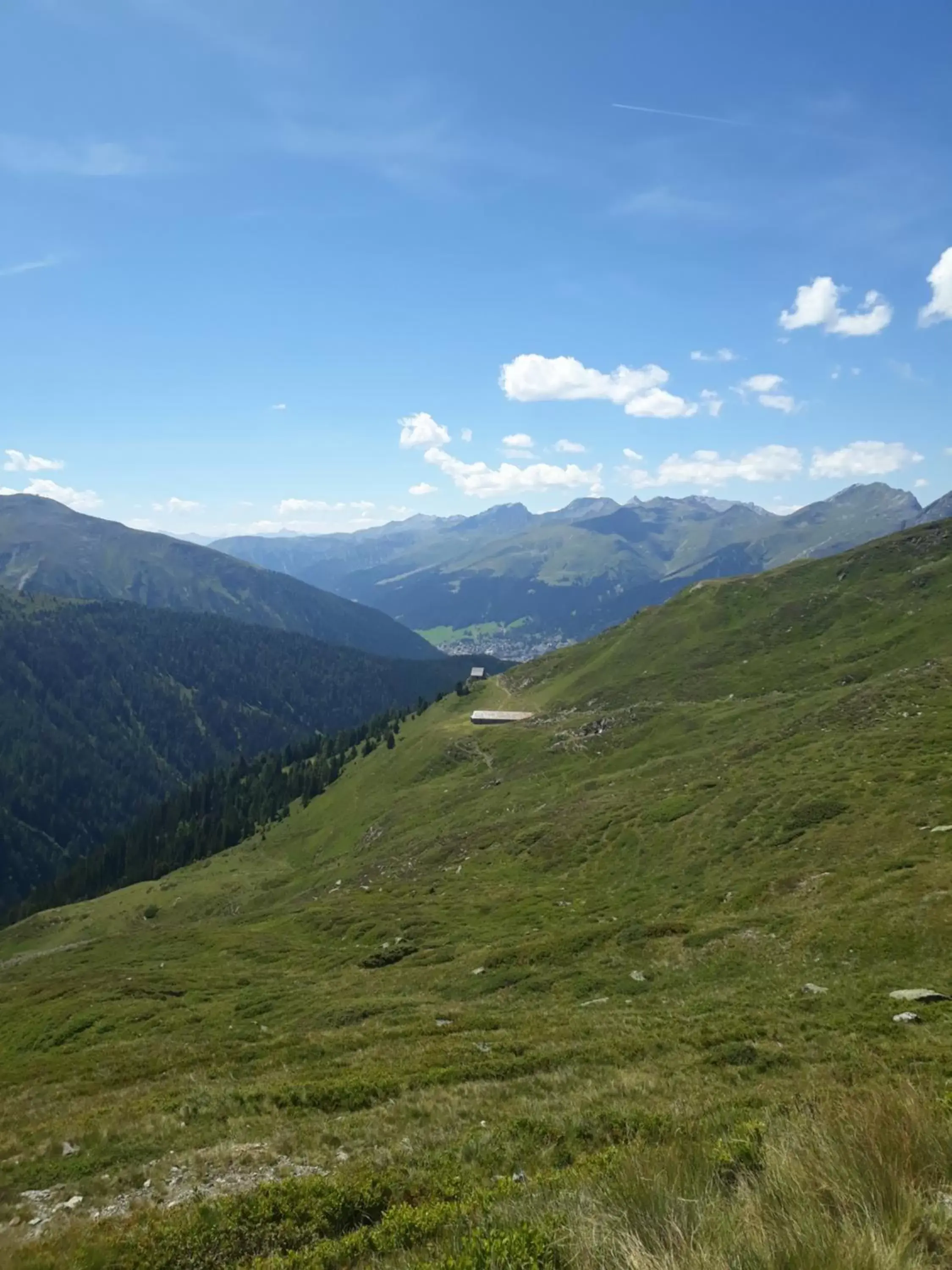 Natural landscape in Bernina Bed and Breakfast