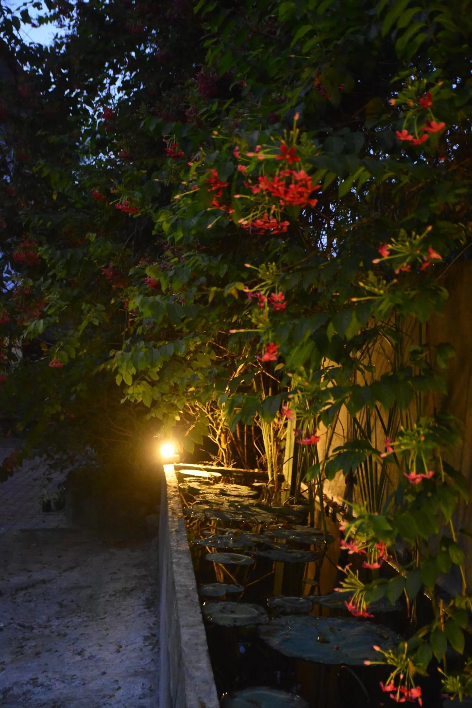 Seyara Holiday Resort