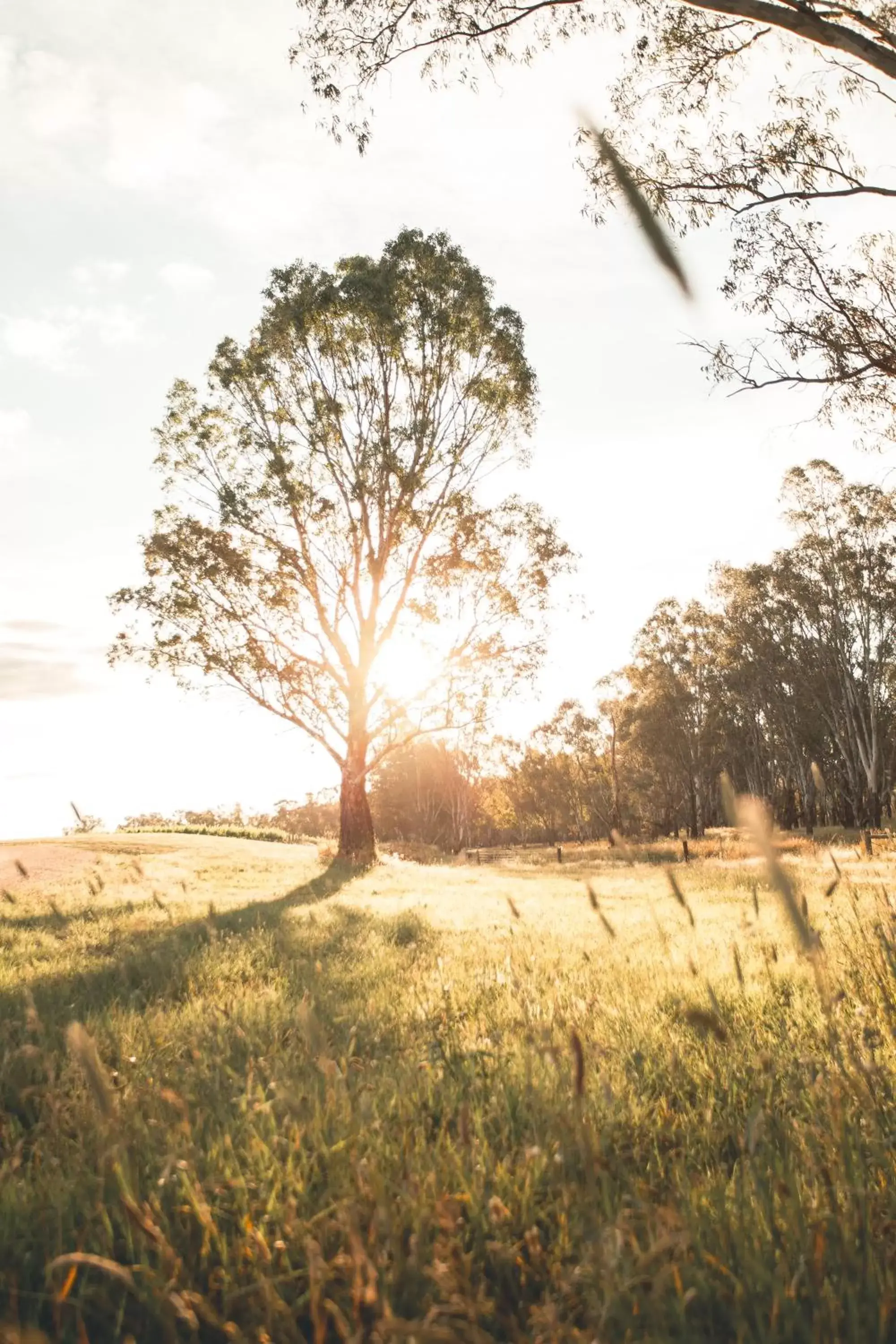 Natural Landscape in The Mitchelton Hotel Nagambie - MGallery by Sofitel