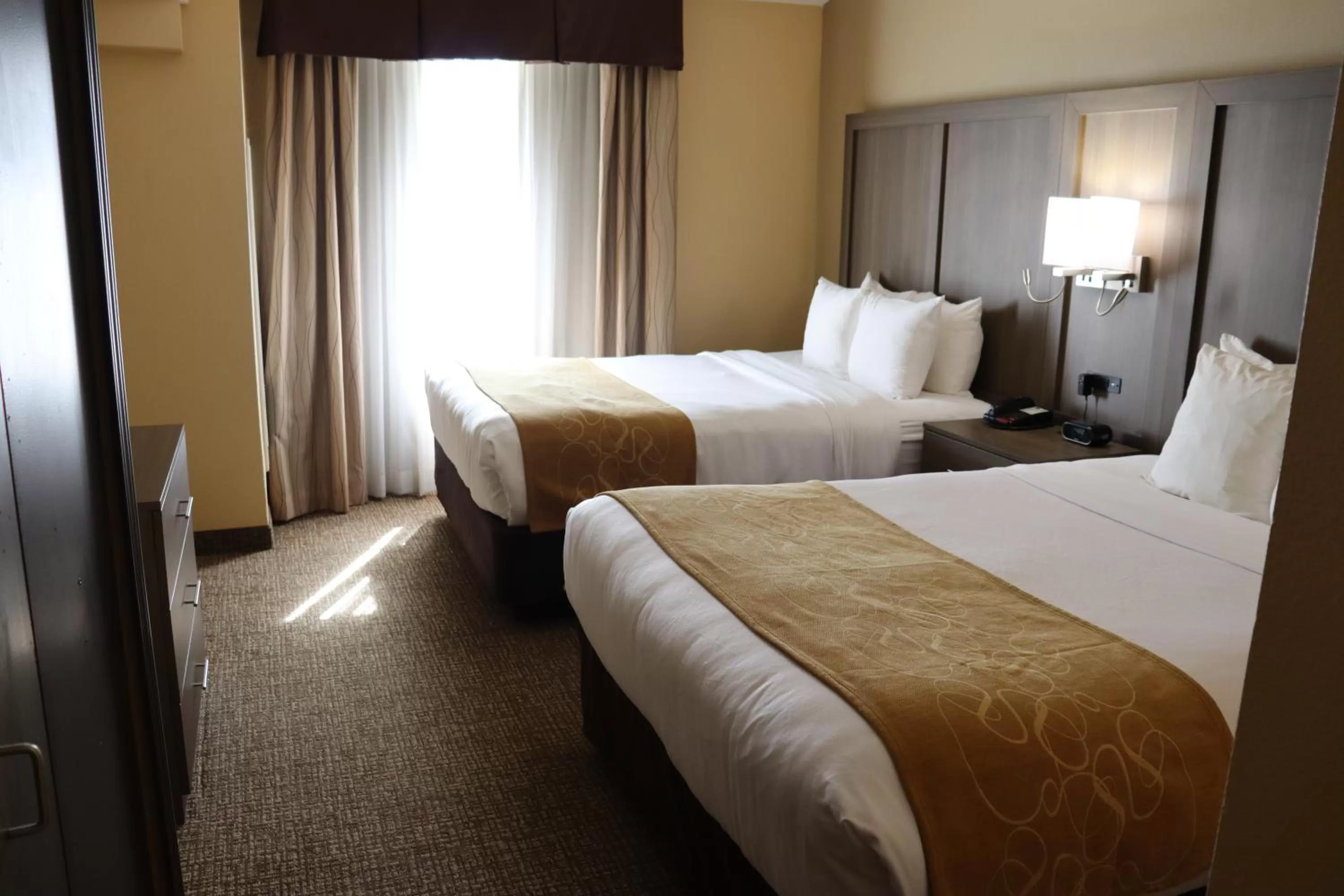 Bed in Comfort Suites DFW Airport