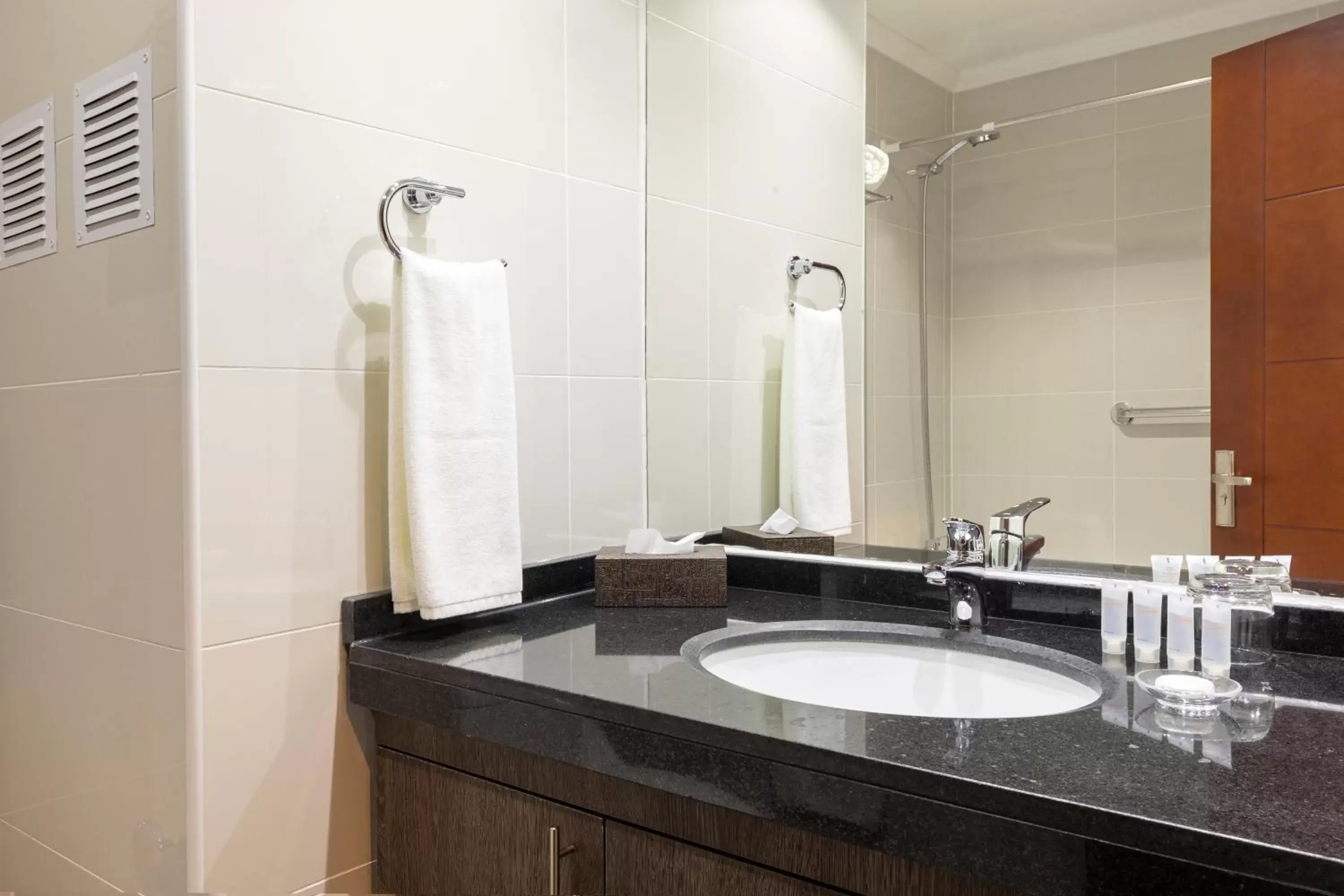 Shower, Bathroom in Best Western Estacion Central