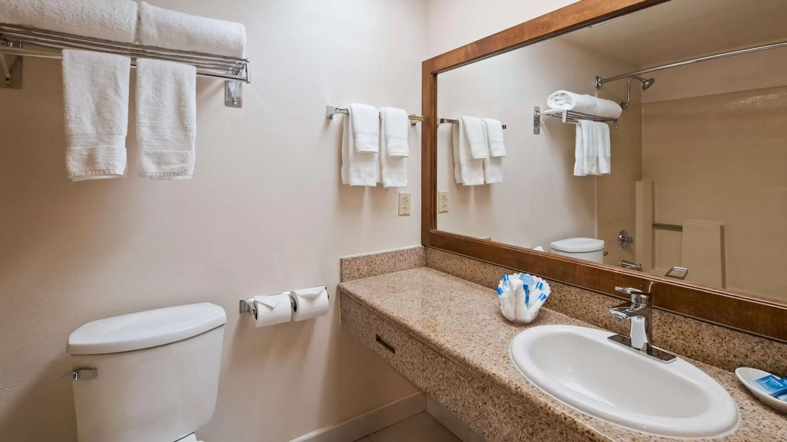 Bathroom in Best Western Plus Palm Desert Resort