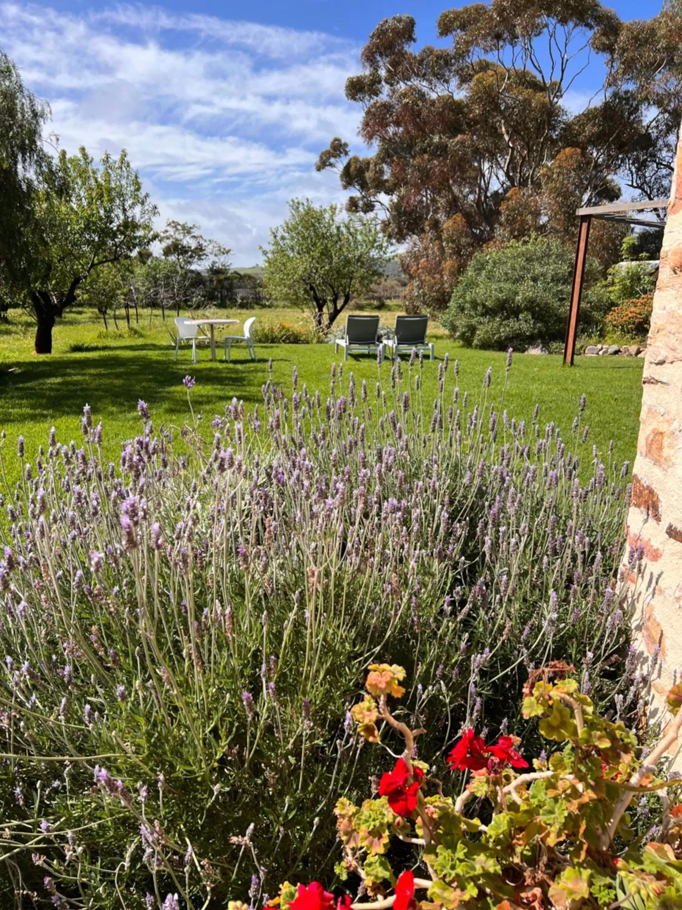 Garden view in The Old Chaff Mill Organic Vineyard Retreat