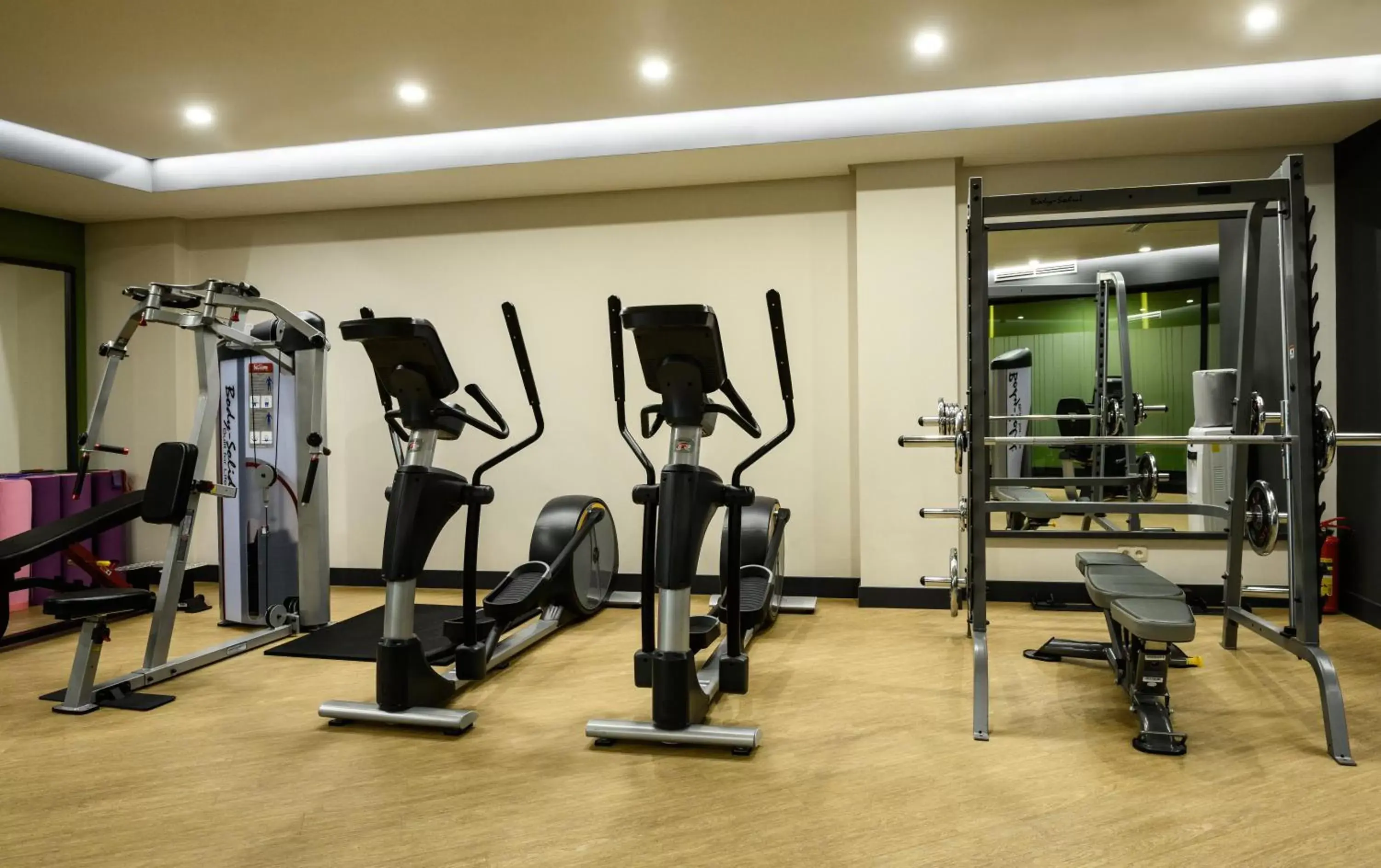 Fitness centre/facilities, Fitness Center/Facilities in North Avenue by Stellar Hotels, Yerevan